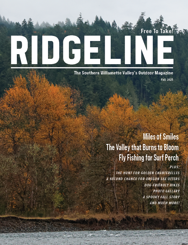 Fall 2025 Pg 01.jpg.png