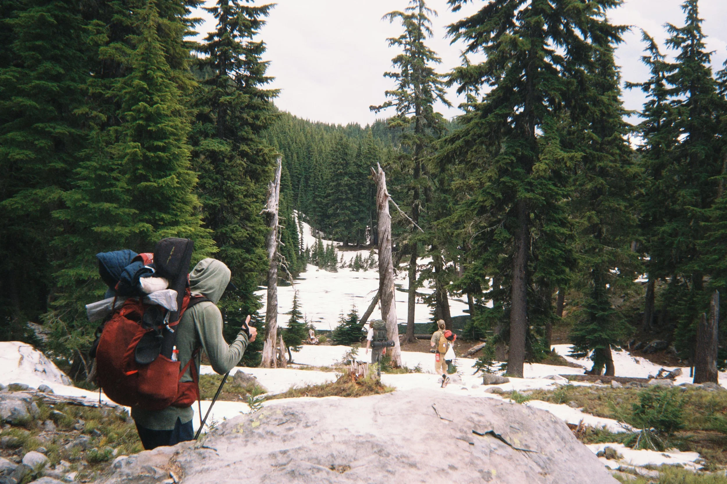 Two men, a small distance apart, hiking through patchy spring snow and pine trees.