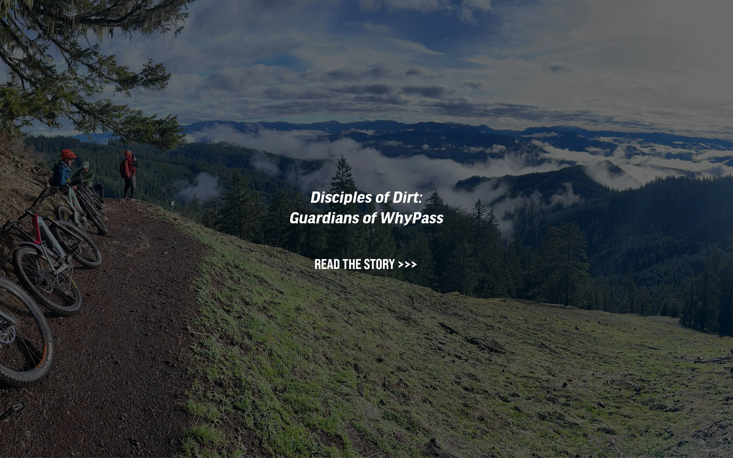 Three mountain bikers look out across the west cascades.