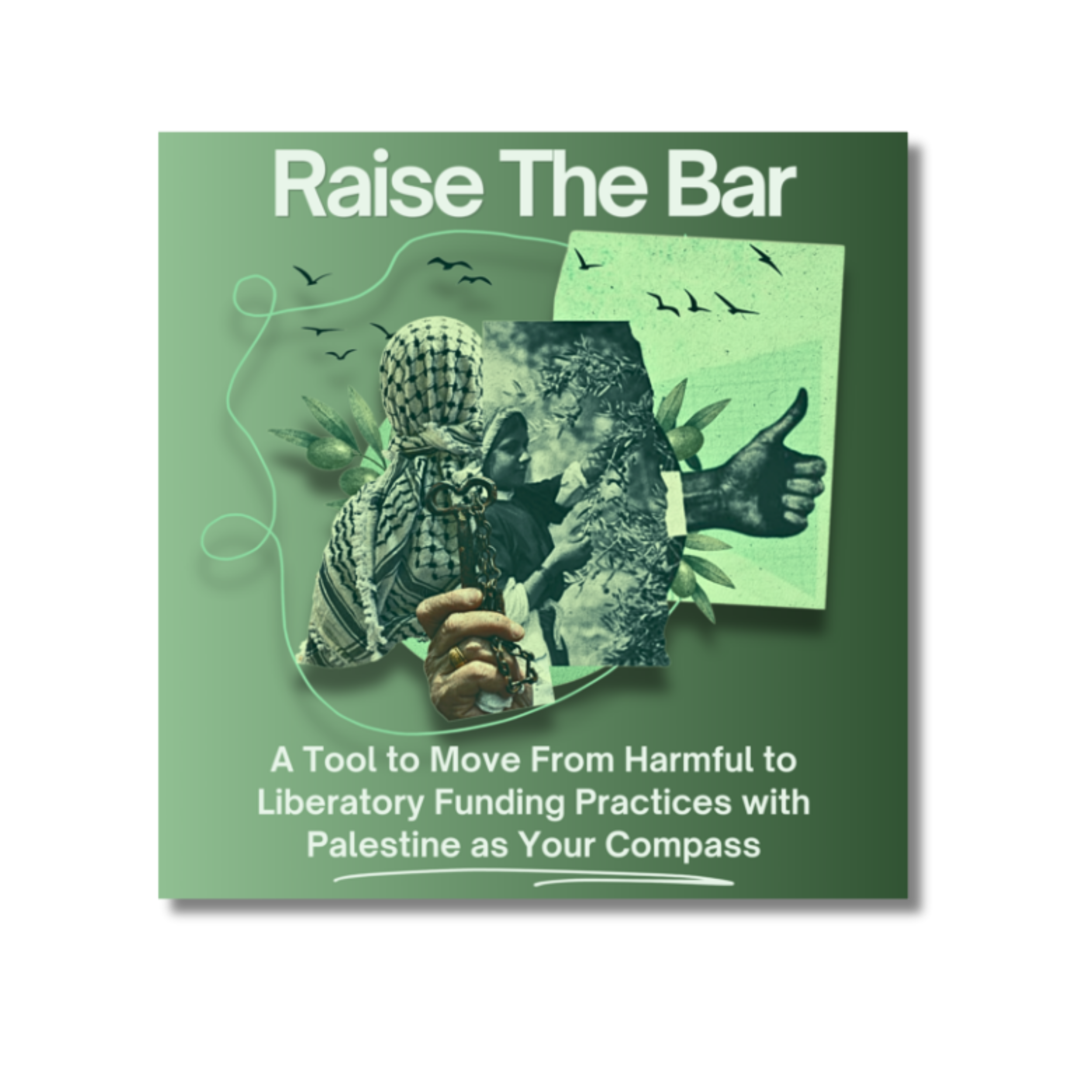 Raise the Bar Philanthropy: A Tool to Move From Harmful to Liberatory Funding Practices with Palestine as Your Compass