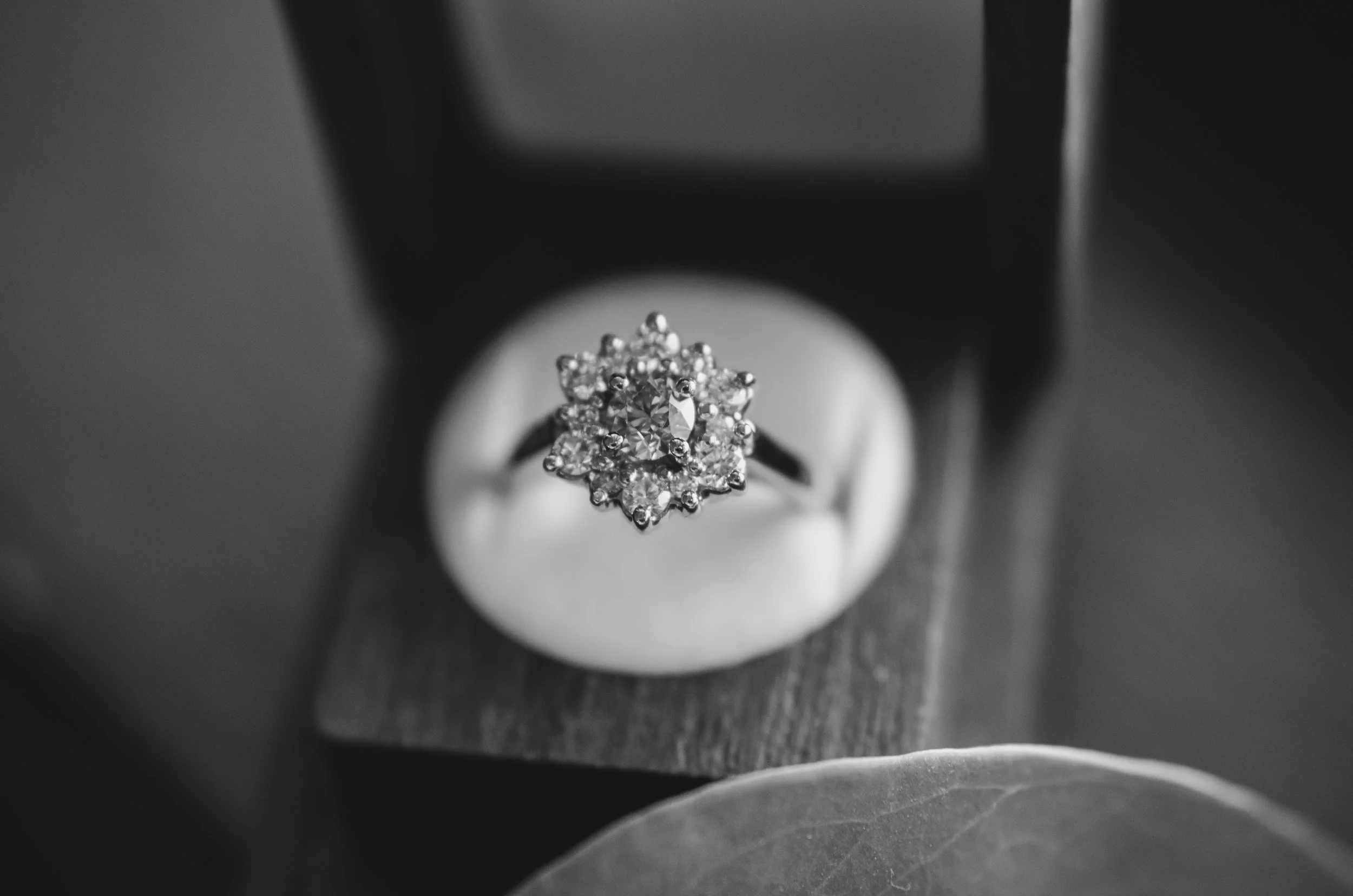 DSC_8812.jpg