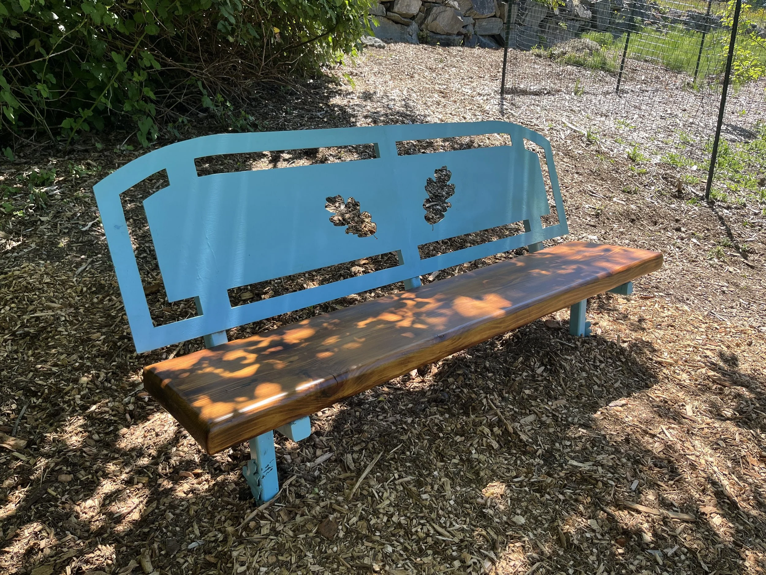 A light blue wooden park bench with a natural wood-colored seat, situated outdoors on a bed of wood chips, surrounded by green bushes and a chain-link fence.