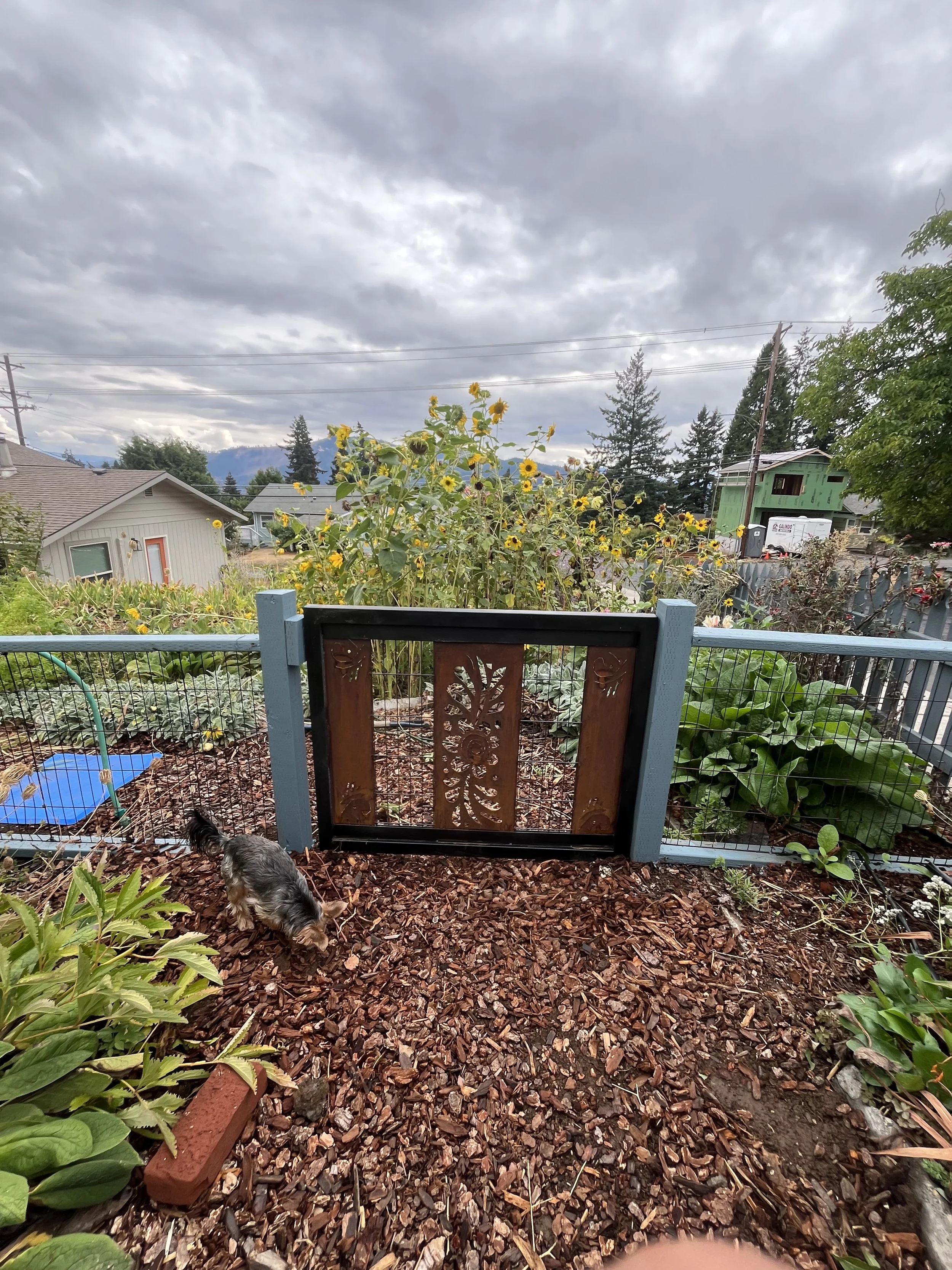 A backyard garden with a small dog, plants, a wooden fence, and a plastic sandbox, under a cloudy sky.