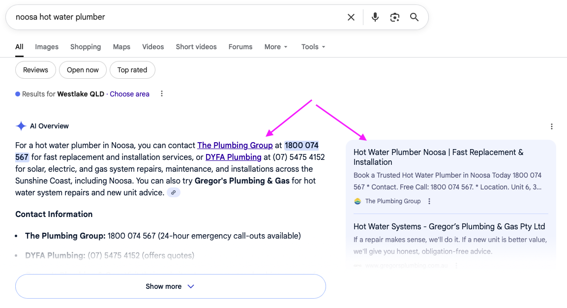 example - TPG AI overview local search