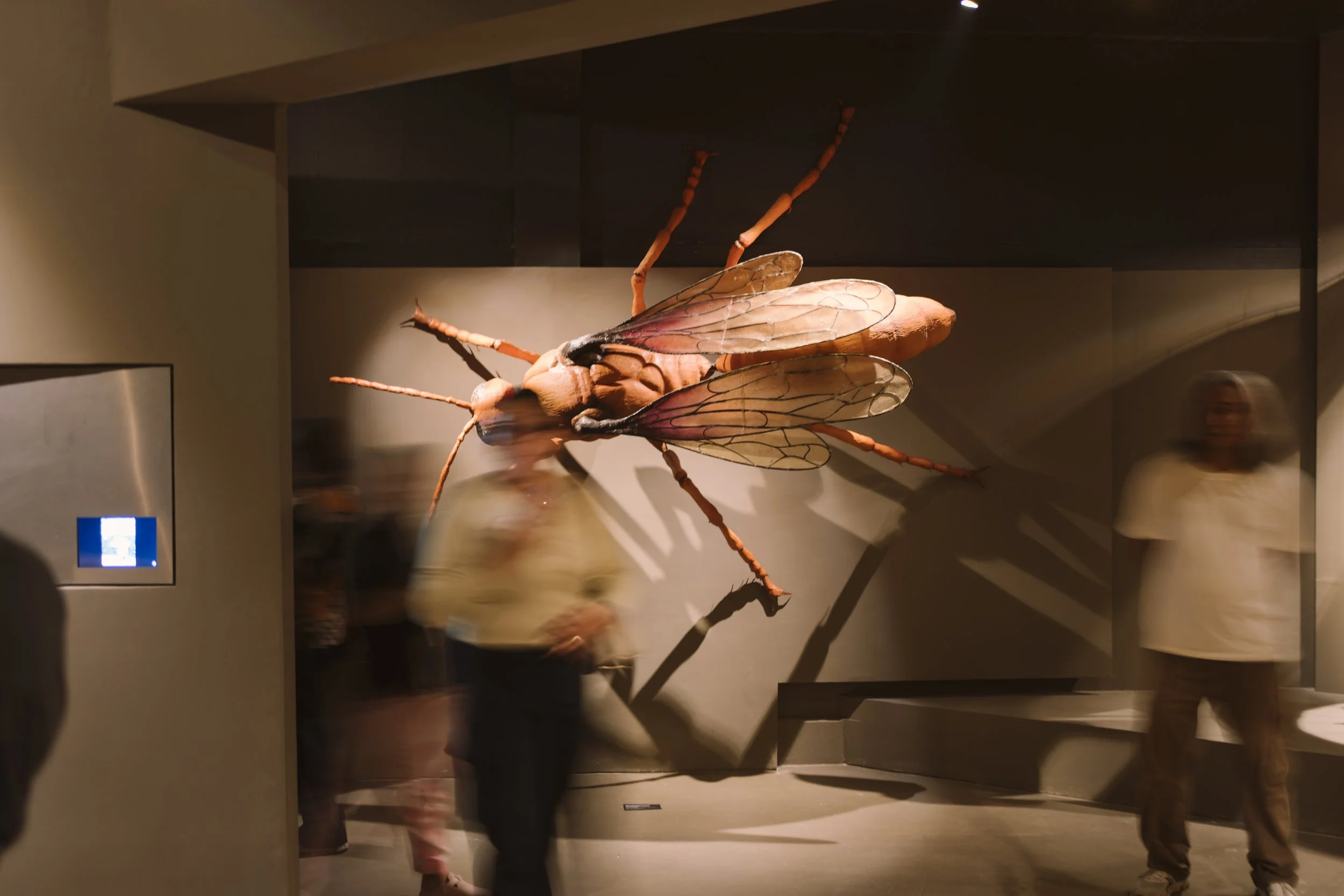 AZK02759.jpg