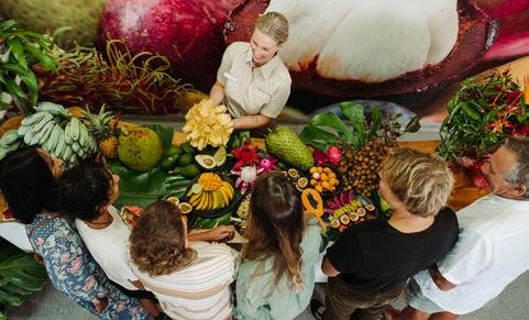 Paddock to Table - Discover the North Coast Flavours Trail