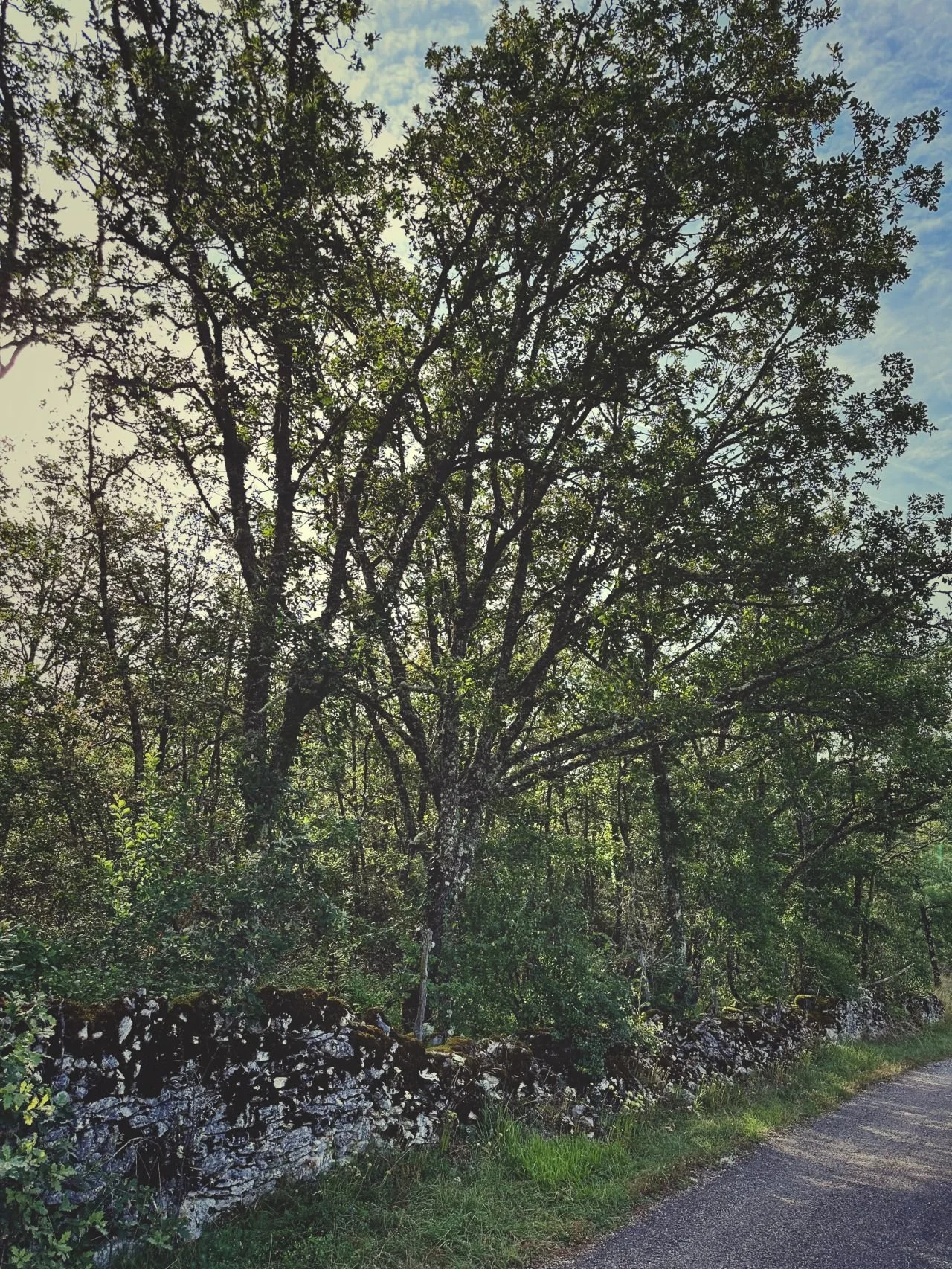 Grief Is Part of the Work: How to Feel, Think, and Act with Integrity