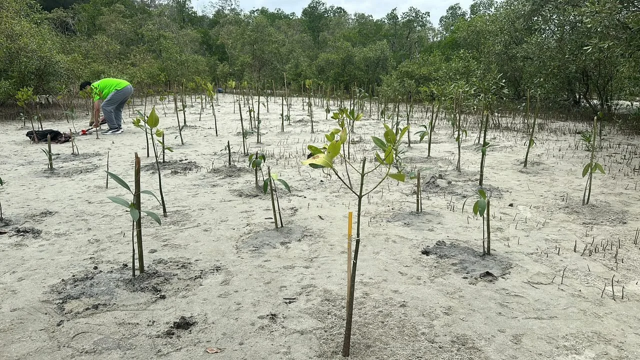 ClimateX and the JERICA Prize: What Early Support Makes Possible