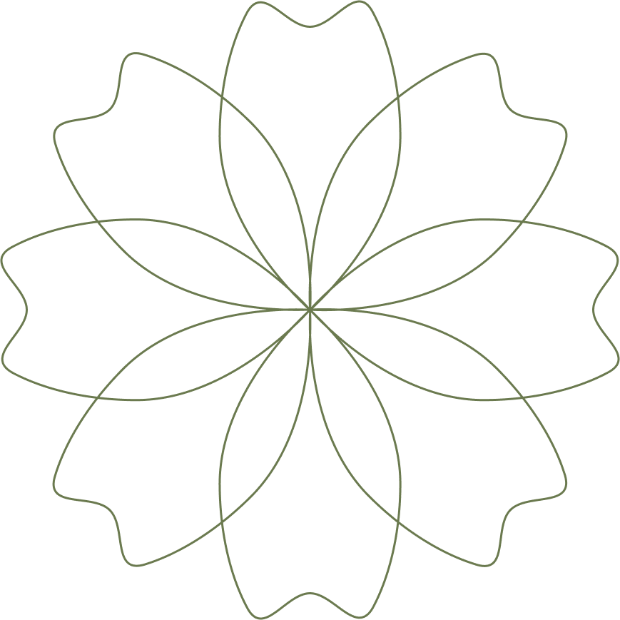 Line art drawing of a symmetrical flower with alternating small and large petals on a black background.