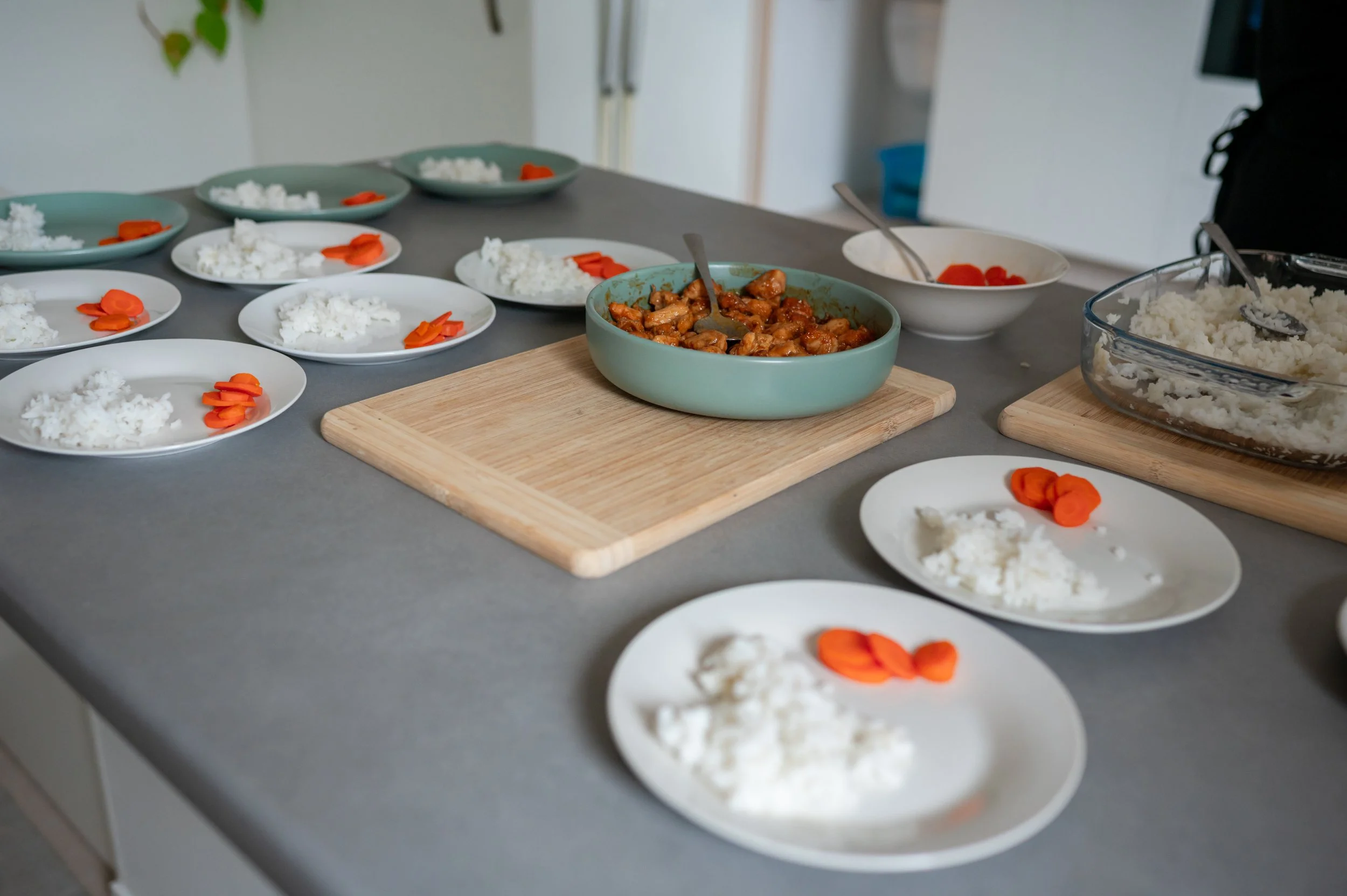 Selection of plates with rice and sliced carrots, a bowl of cooked chicken in sauce, and a glass dish of mashed potatoes on the kitchen countertop at Small Sprouts in Stanmore Bay.