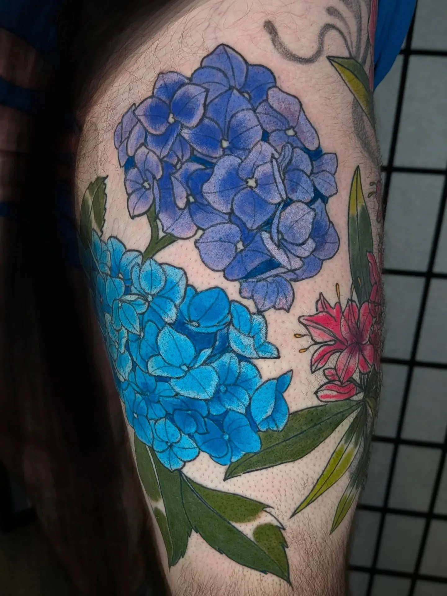 Added some Hydrangeas to this plant flowery leg sock sleeve we got going on. Super duper happy anytime I get to color!