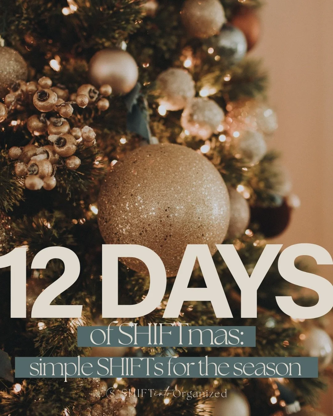 Day 12 of 12 Days of SHIFTmas! 🎄

Life is absolutely crazy this time of year between holiday parties, kids, traveling, hosting, end-of-year deadlines, and trying to maintain our sanity.

So, we&rsquo;re sharing 12 simple, realistic SHIFTs you can do