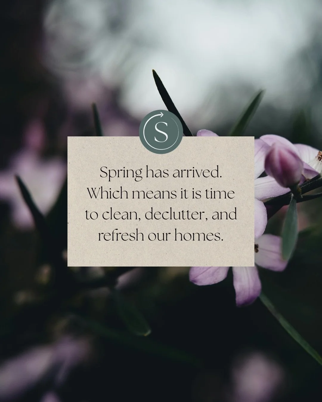 Spring has sprung. 🌿

It&rsquo;s our favorite time of year! Spring cleaning mirrors what&rsquo;s happening in nature all around us.

Everything is renewing. Everything is beginning again.

The shift in seasons invites us to do the same in our homes 