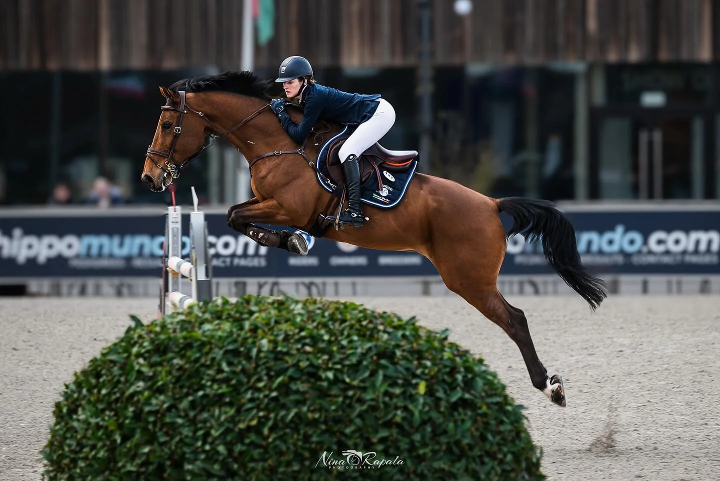 This week 🔜 Sentower Youth Tour 🇧🇪