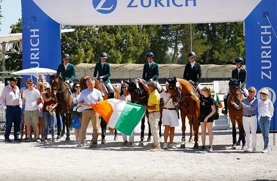 Happy St. Patrick&rsquo;s Day from Ballycorus Equine 🇮🇪☘️