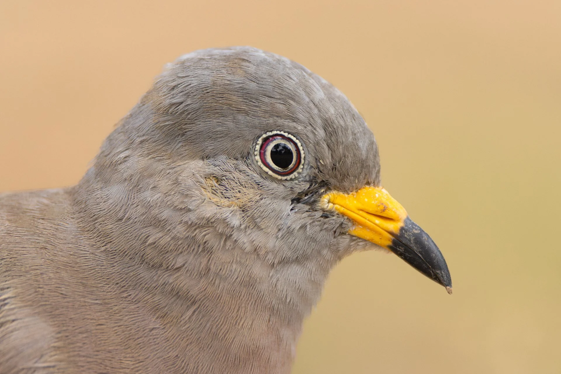 Peru-3.jpg