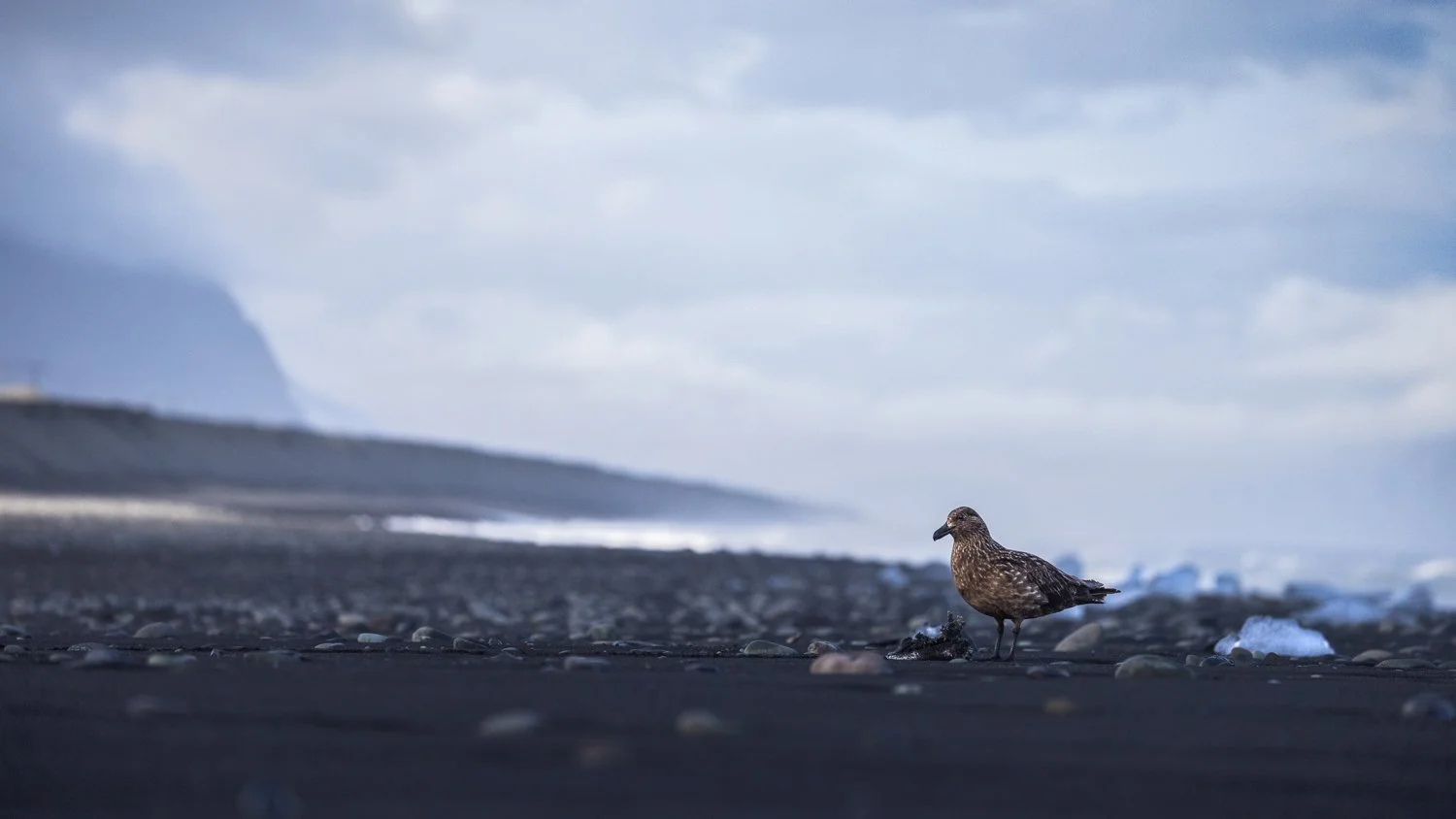 Environment-8.jpg