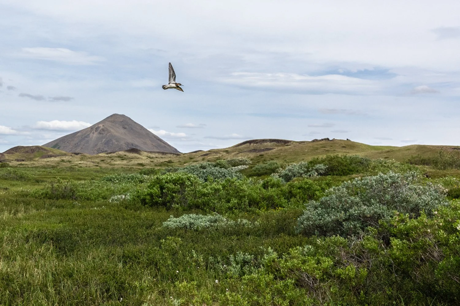 Islandia-47.jpg