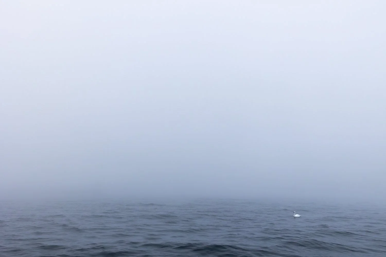minimal-18.jpg