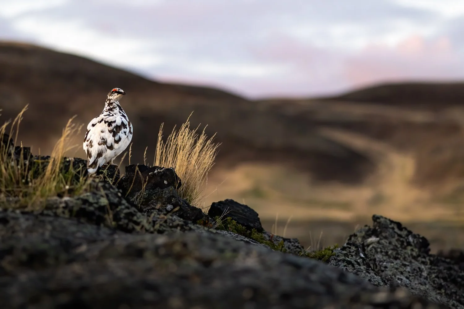 Islandia-57.jpg