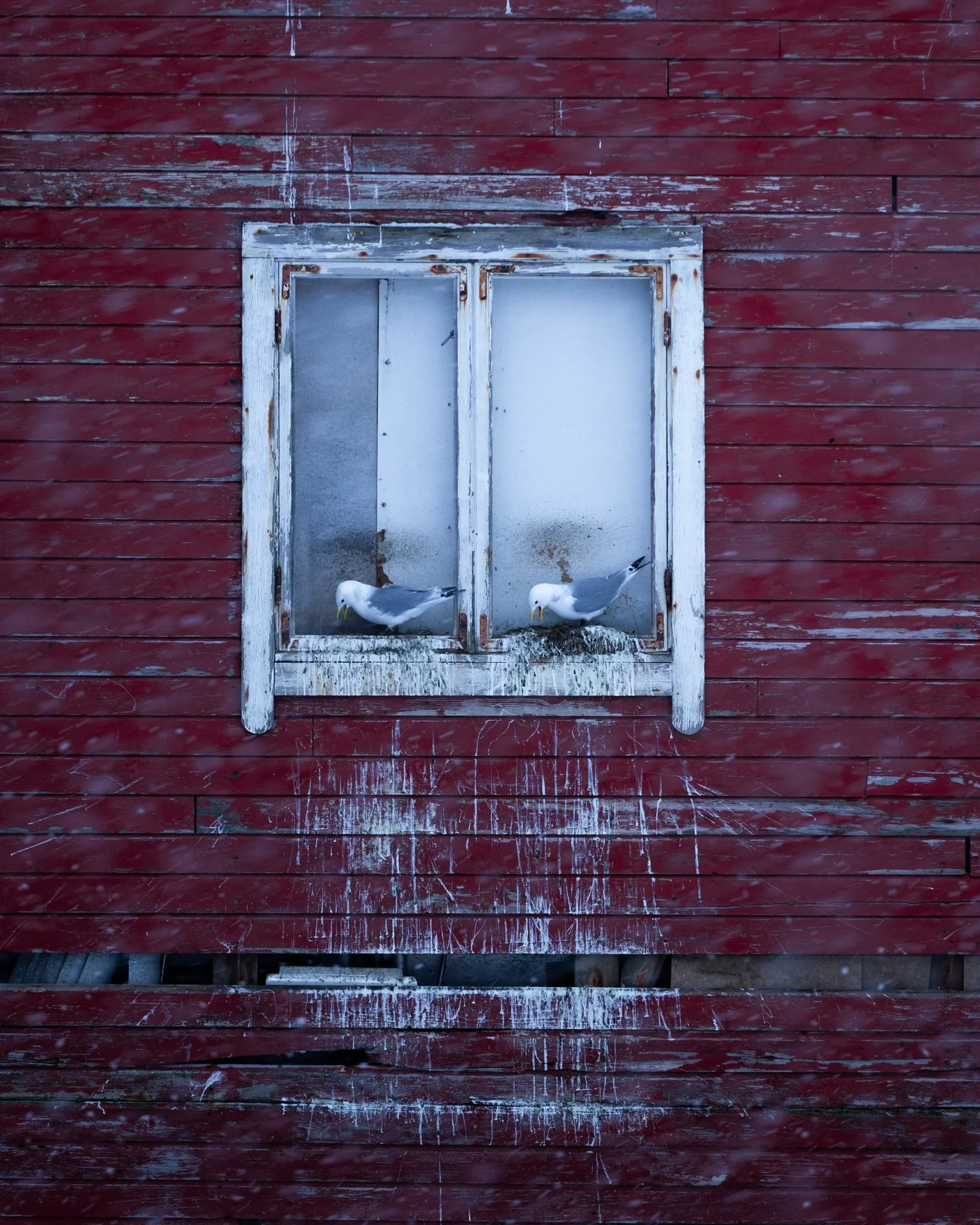 Arctic-18.jpg
