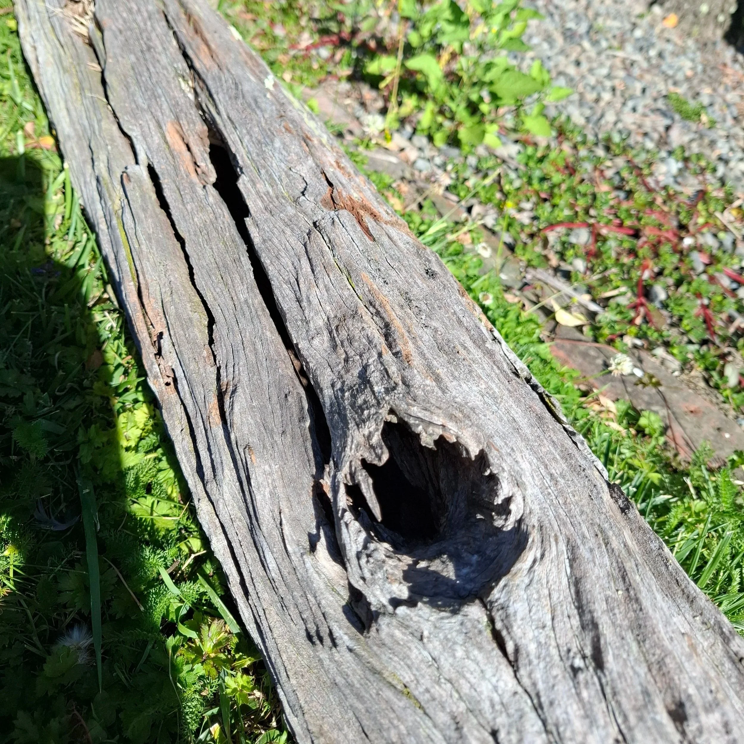 LARGE SPLITS IN THE POLE BODY