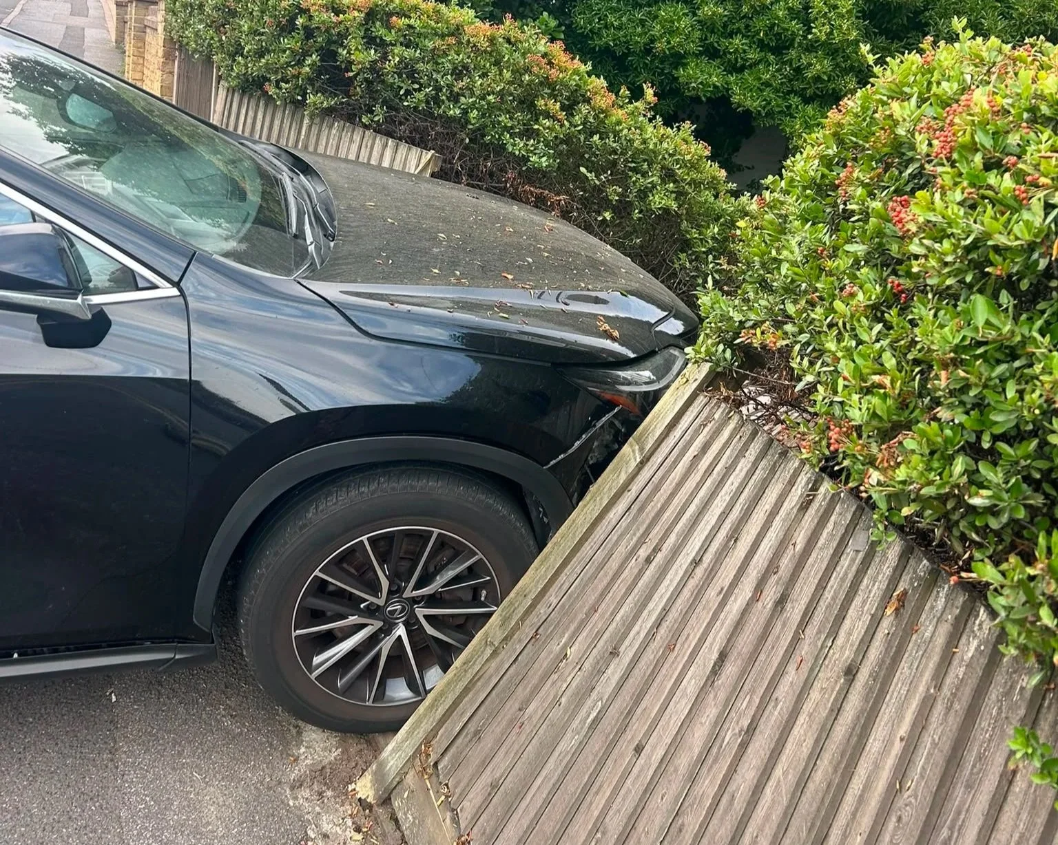 The Hedge That Stopped a Car.