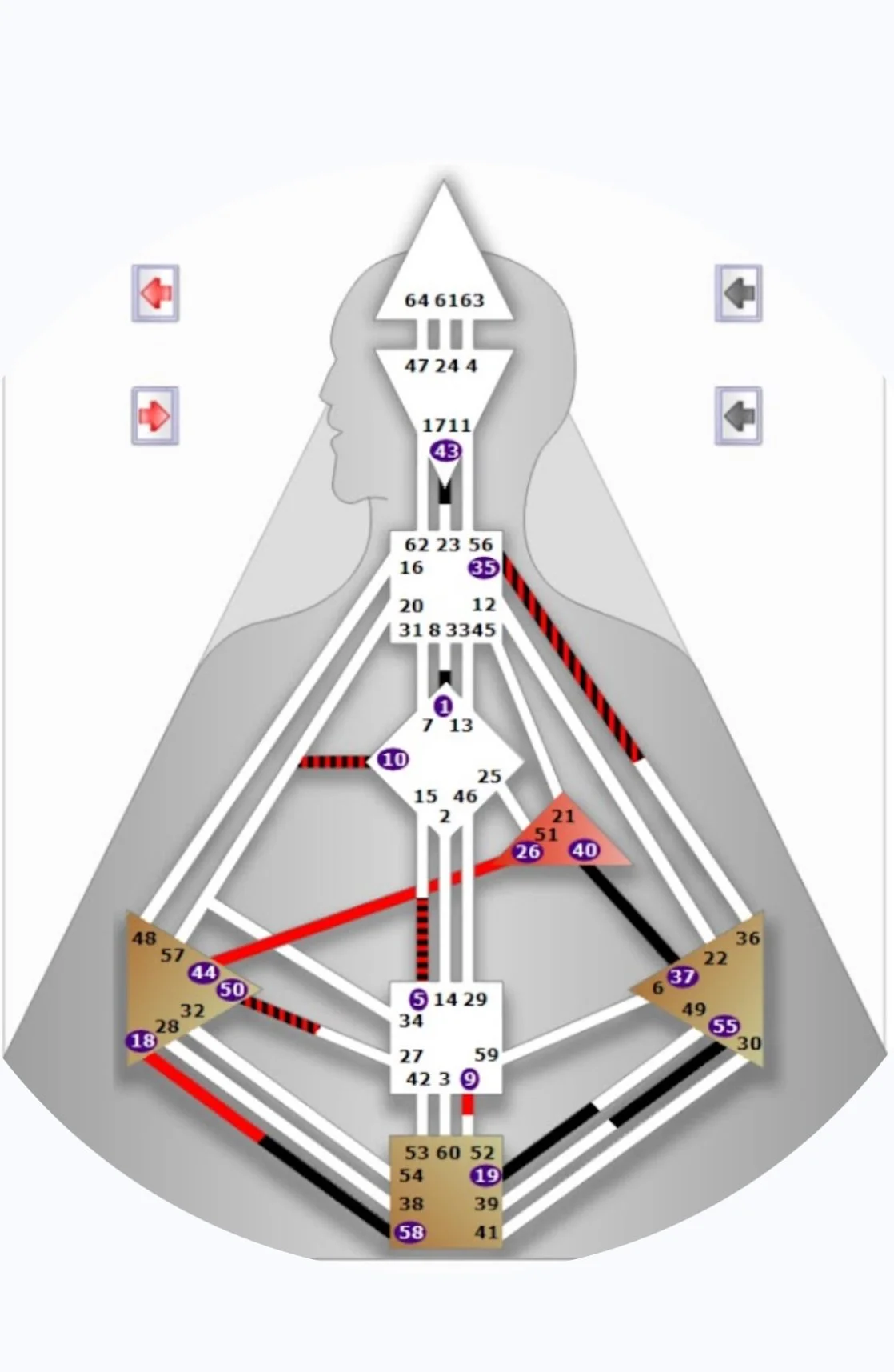 IMG_8334 - Katrin Blüthner.jpeg