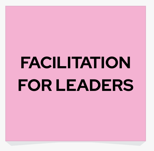 Facilitation for leaders