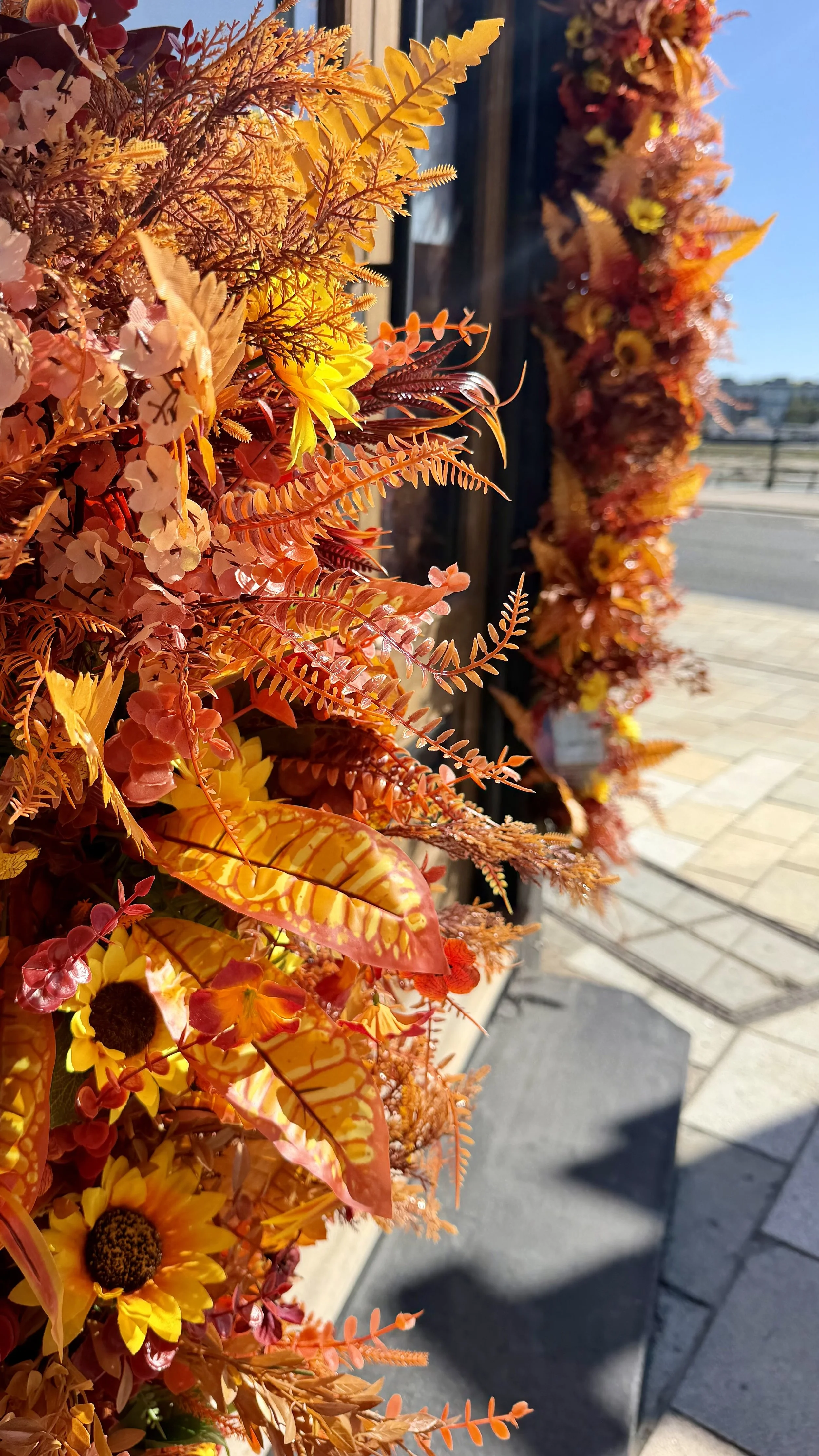 IMG_0654.jpeg