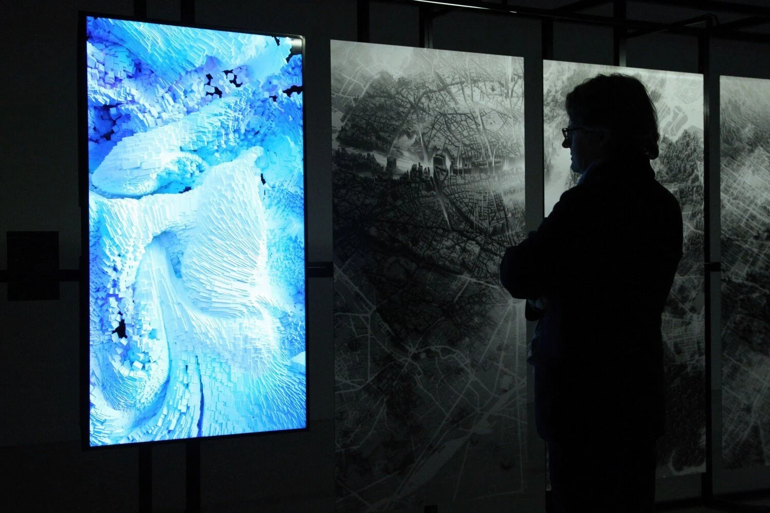 Captagora-photographie-exposition-world-design-installation-vidéo-video-lille3000-musée-Tripostal-Lille-vernissage-2-Aurélien-Mélan-32fde9919f95a9067c75bc0ace064718.jpeg