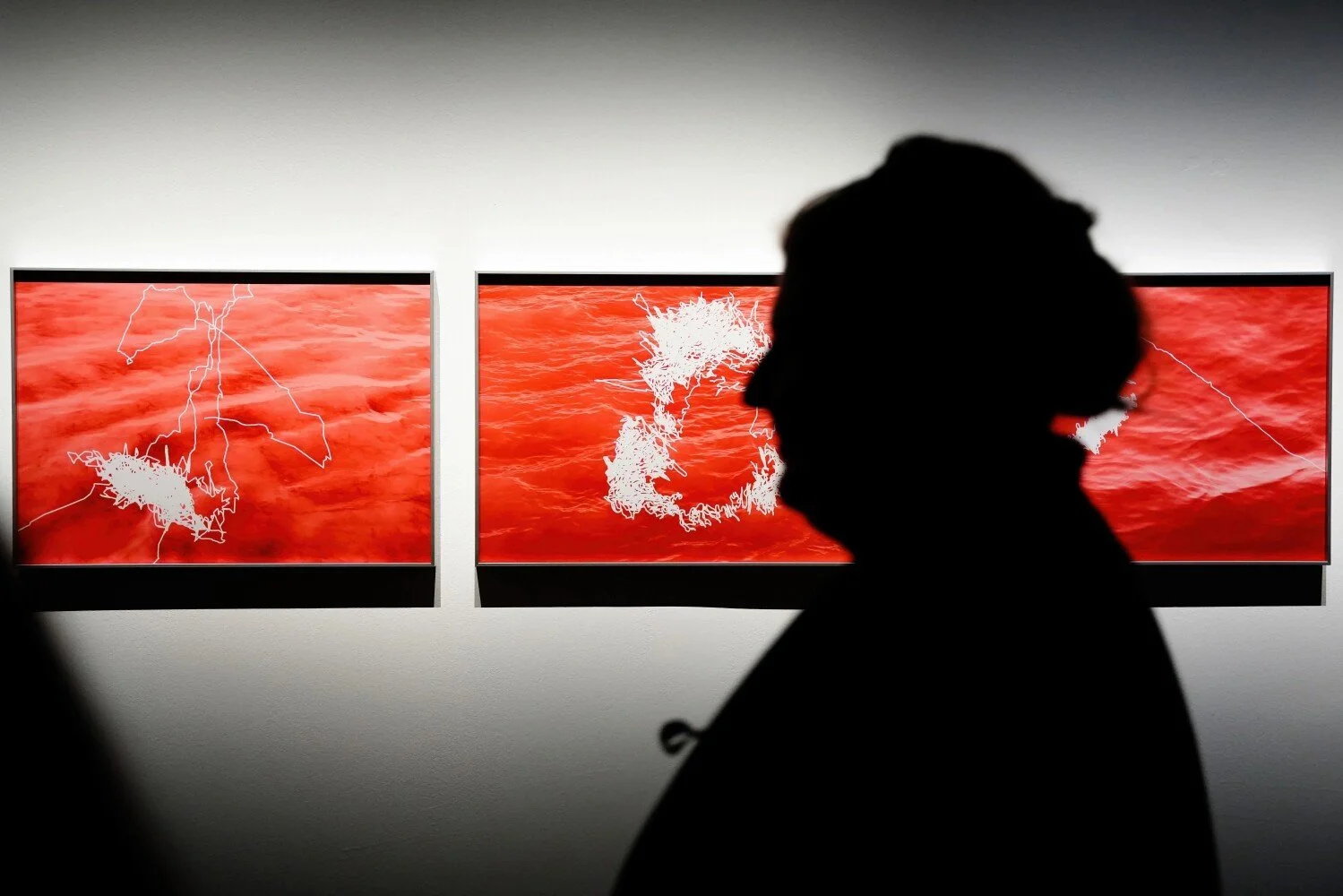 -Captagora-photographie-exposition-Renata-Padovan-Tara-104-centquatre-Paris-cent-quatre-vernissage-2-Aurélien-Mélan-21bdcd368e1345d699d4f44f186e98b7.jpeg