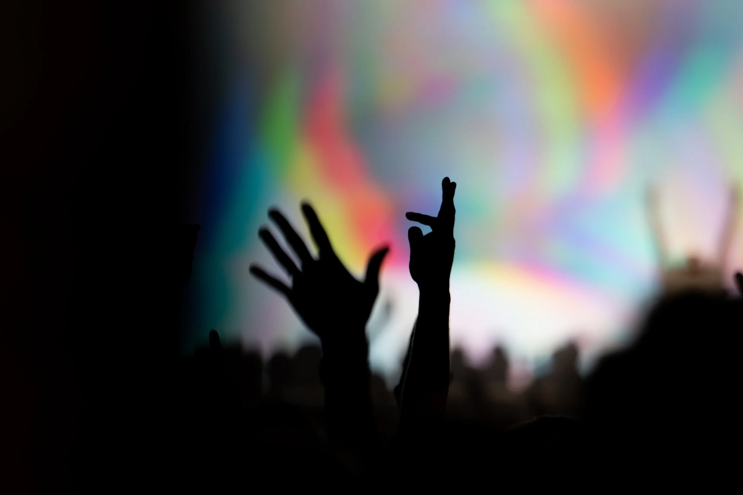 Moby_PoneyClubToulouse-47.jpg