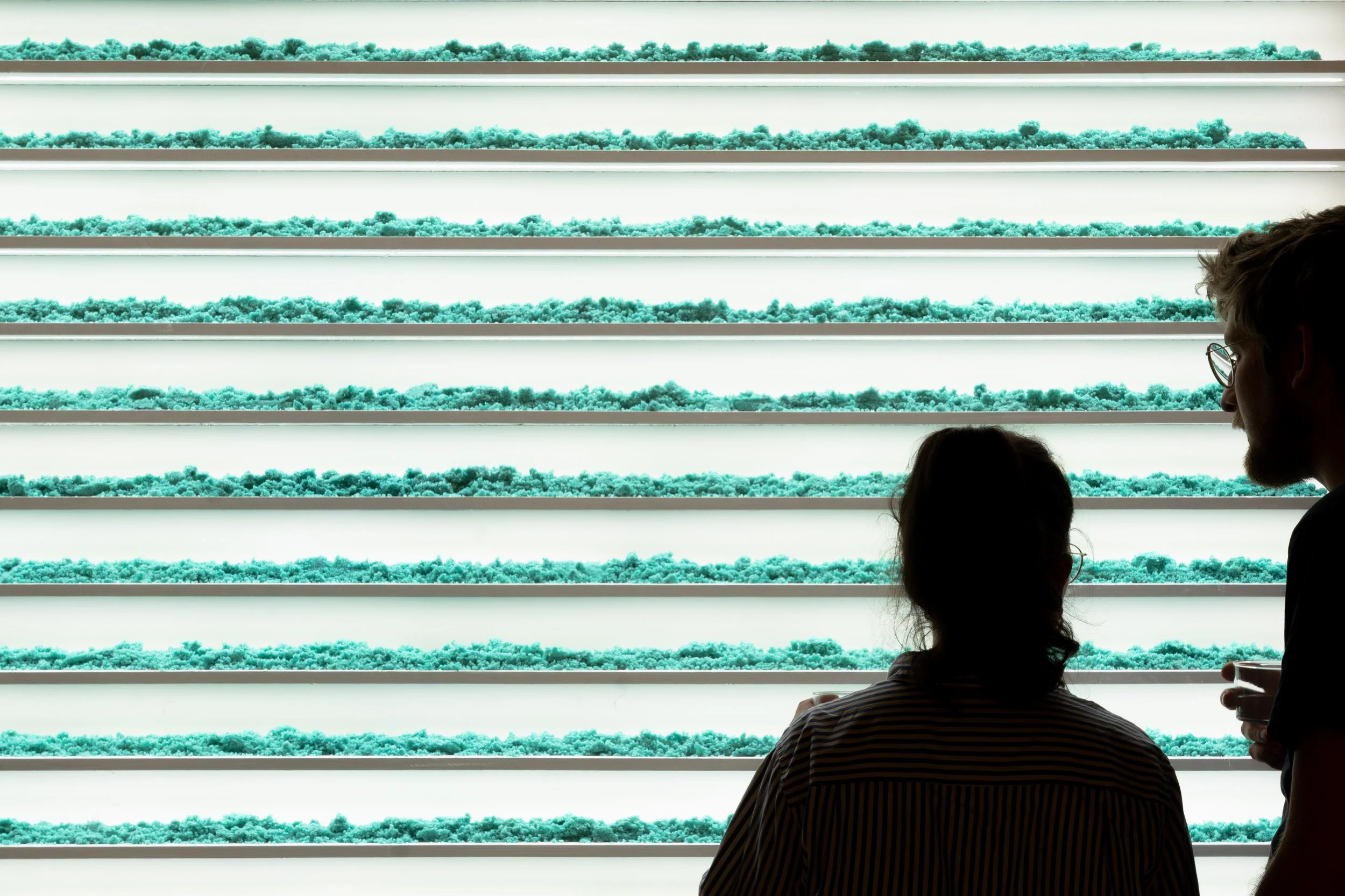 Captagora photographie vernissage exposition Cornucopia Cité des sciences Fabien Léaustic photo public Aurélien Mélan