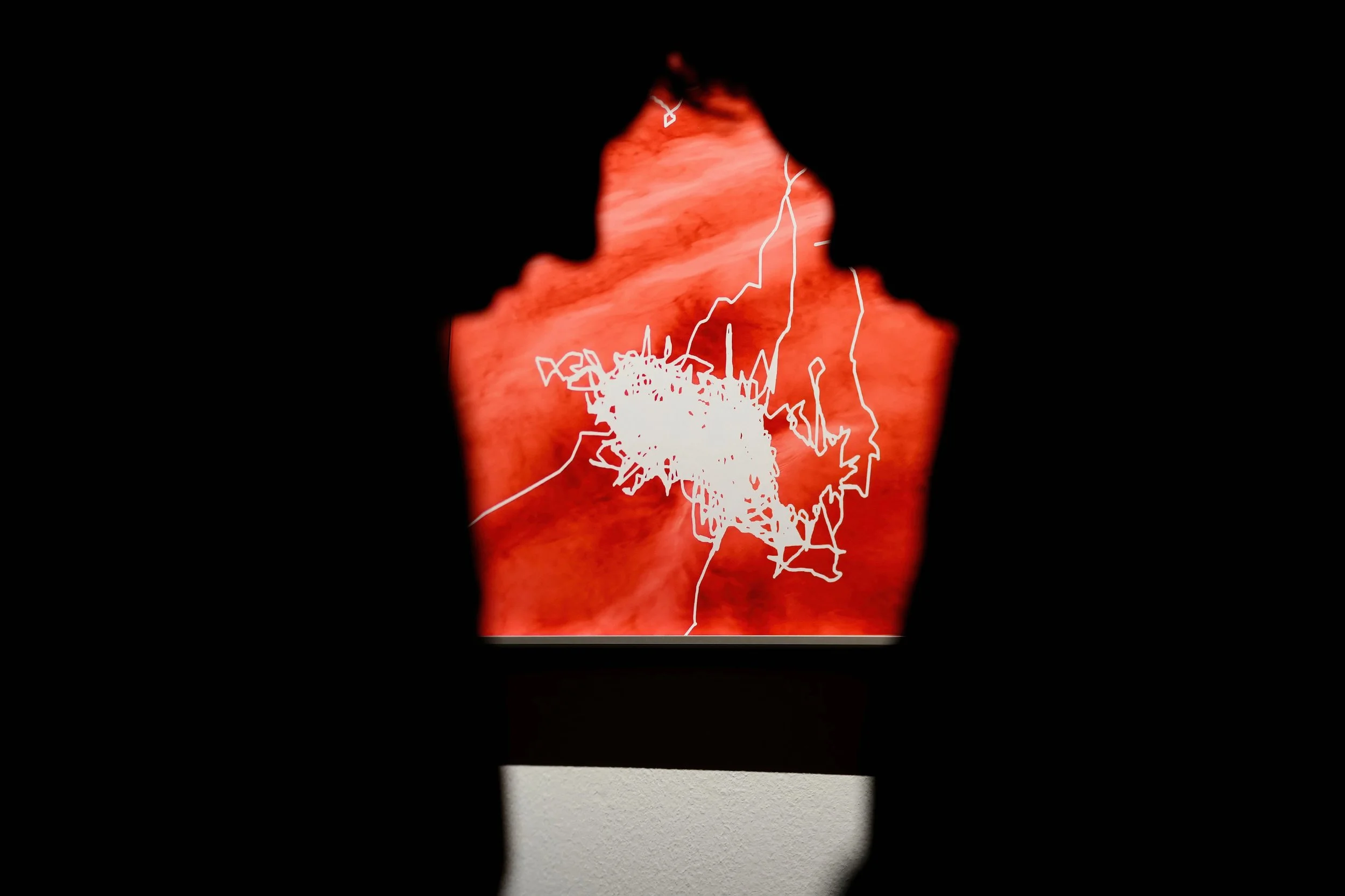 -Captagora-photographie-exposition-Renata-Padovan-Tara-104-centquatre-Paris-cent-quatre-vernissage-Aurélien-Mélan-cb2a162aed7795fe89b1d8d6b9ced27e.jpg