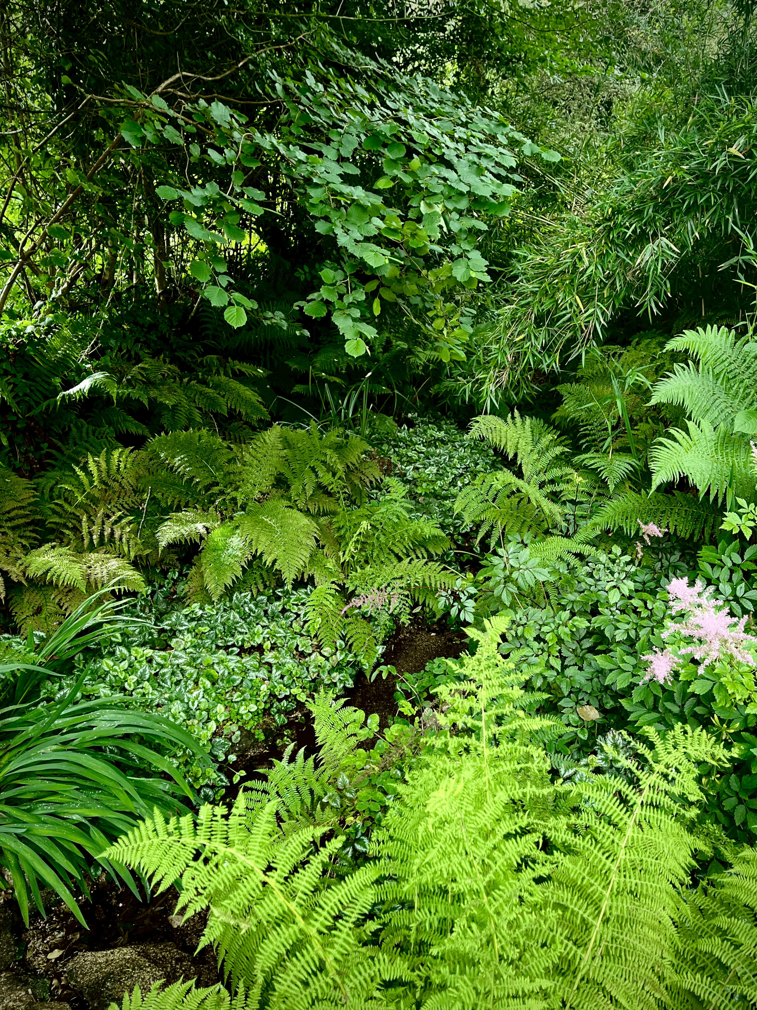 Every garden matters.