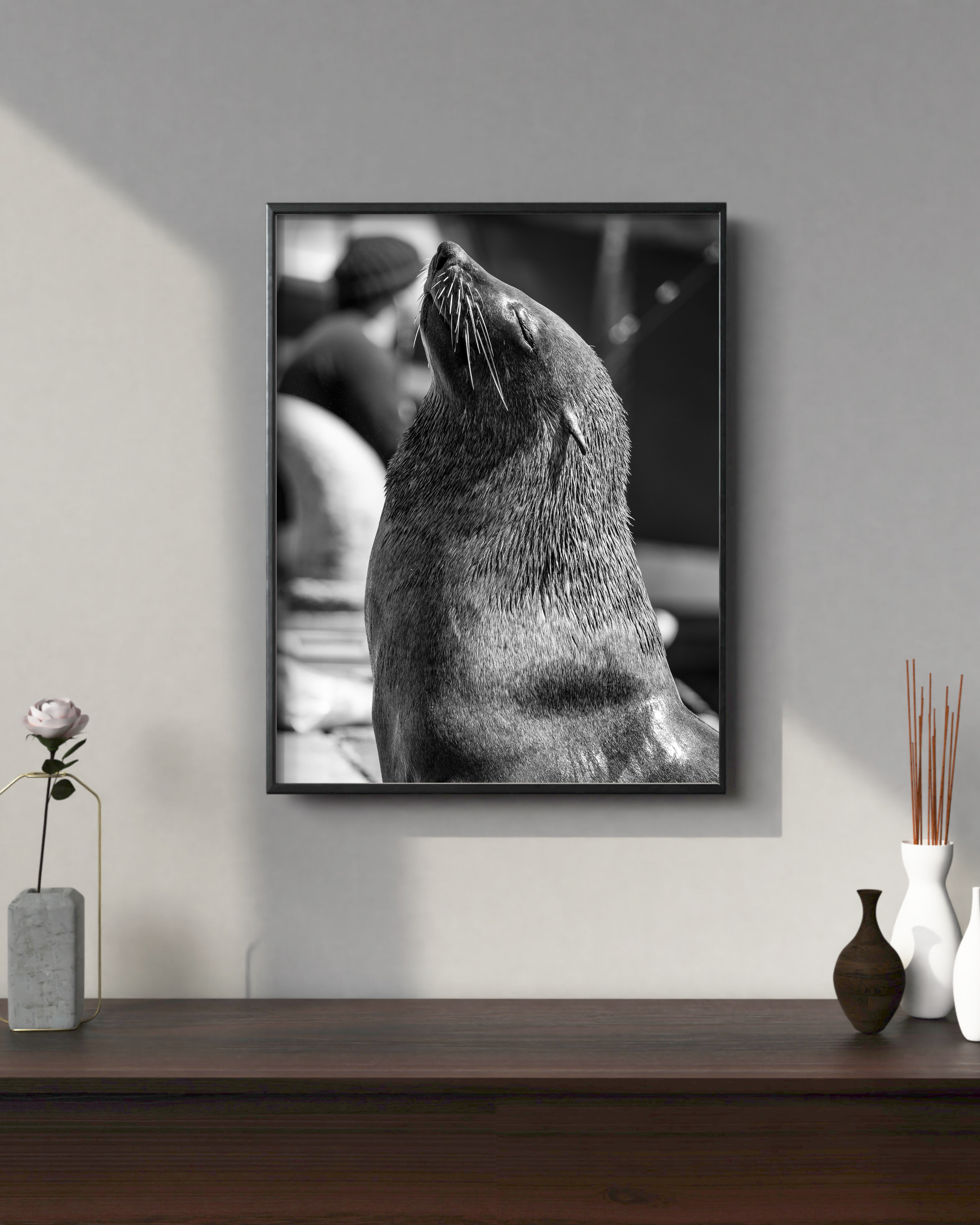 Stunning black and white portrait print of a Cape Fur Seal at Kalk Bay Harbour. Shop coastal wildlife and nature photography prints from MadEye Photography.