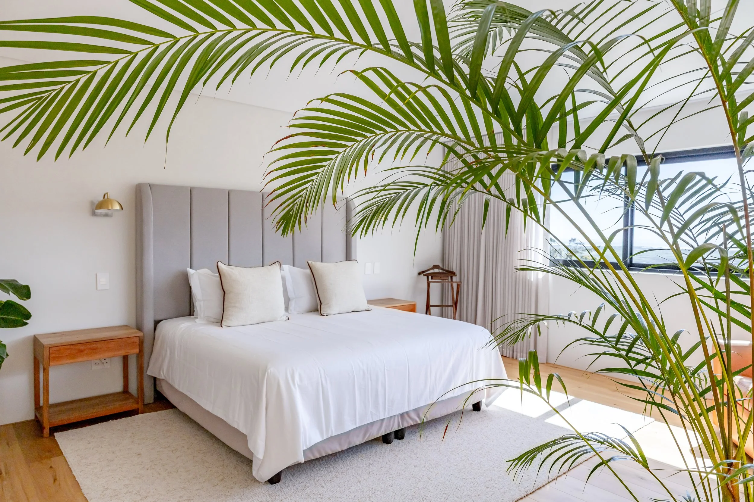 Master bedroom photography in a Camps Bay luxury villa featuring a plush grey headboard, crisp white linens, and indoor palm greenery.