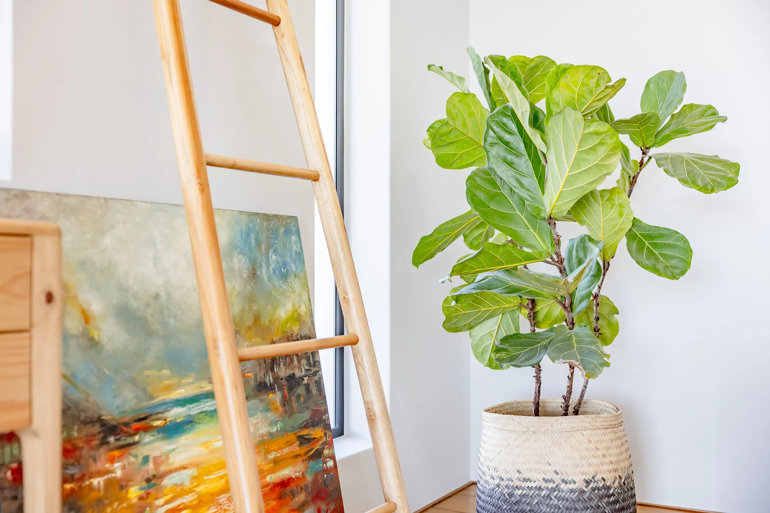 Professional interior styling photography featuring a Fiddle Leaf Fig plant and a wooden ladder leaning against a gallery wall.
