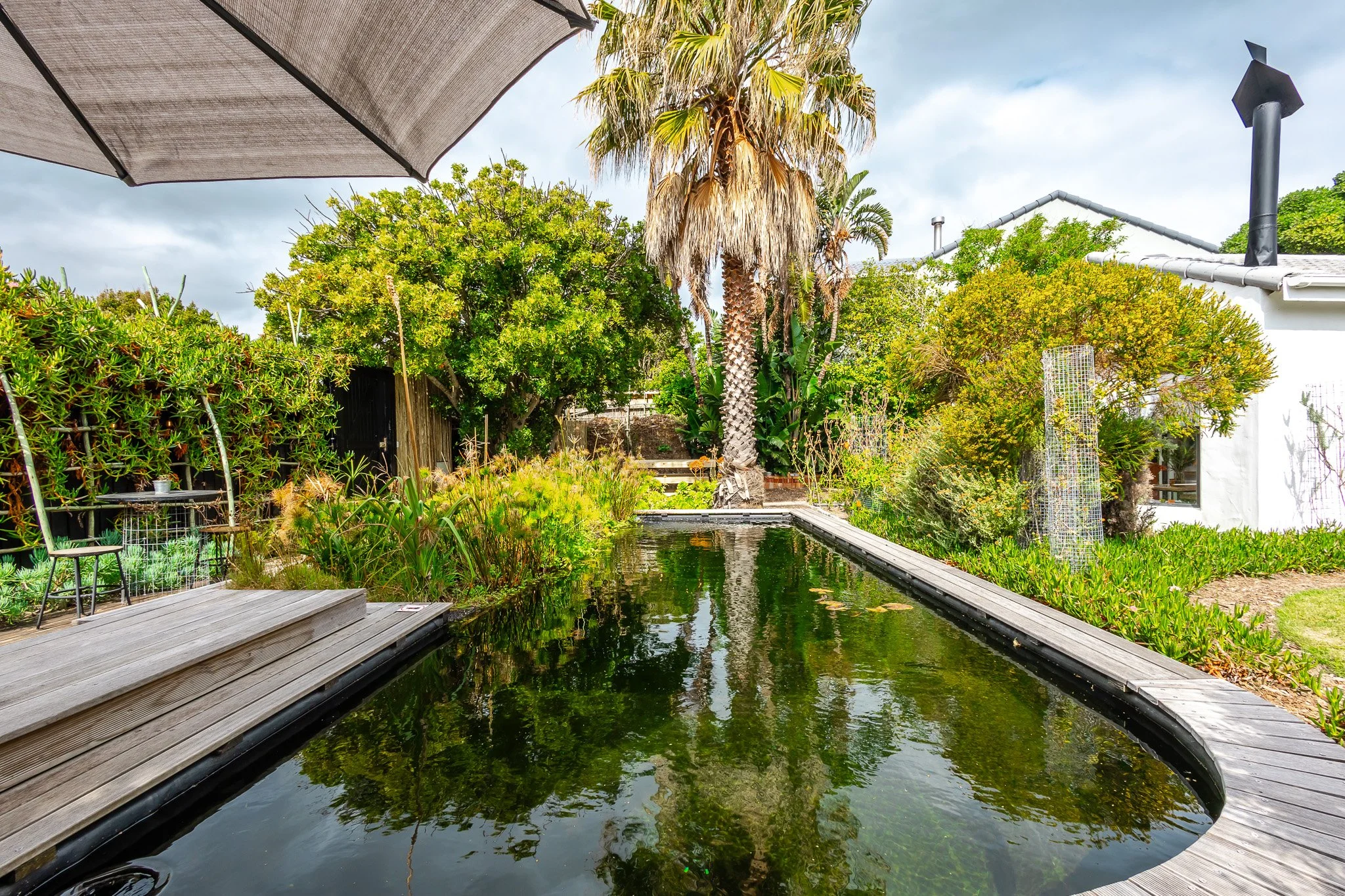 Landscape photography of a tranquil garden pond in Kommetjie, Cape Town, surrounded by lush greenery and palm trees for a vacation rental portfolio.