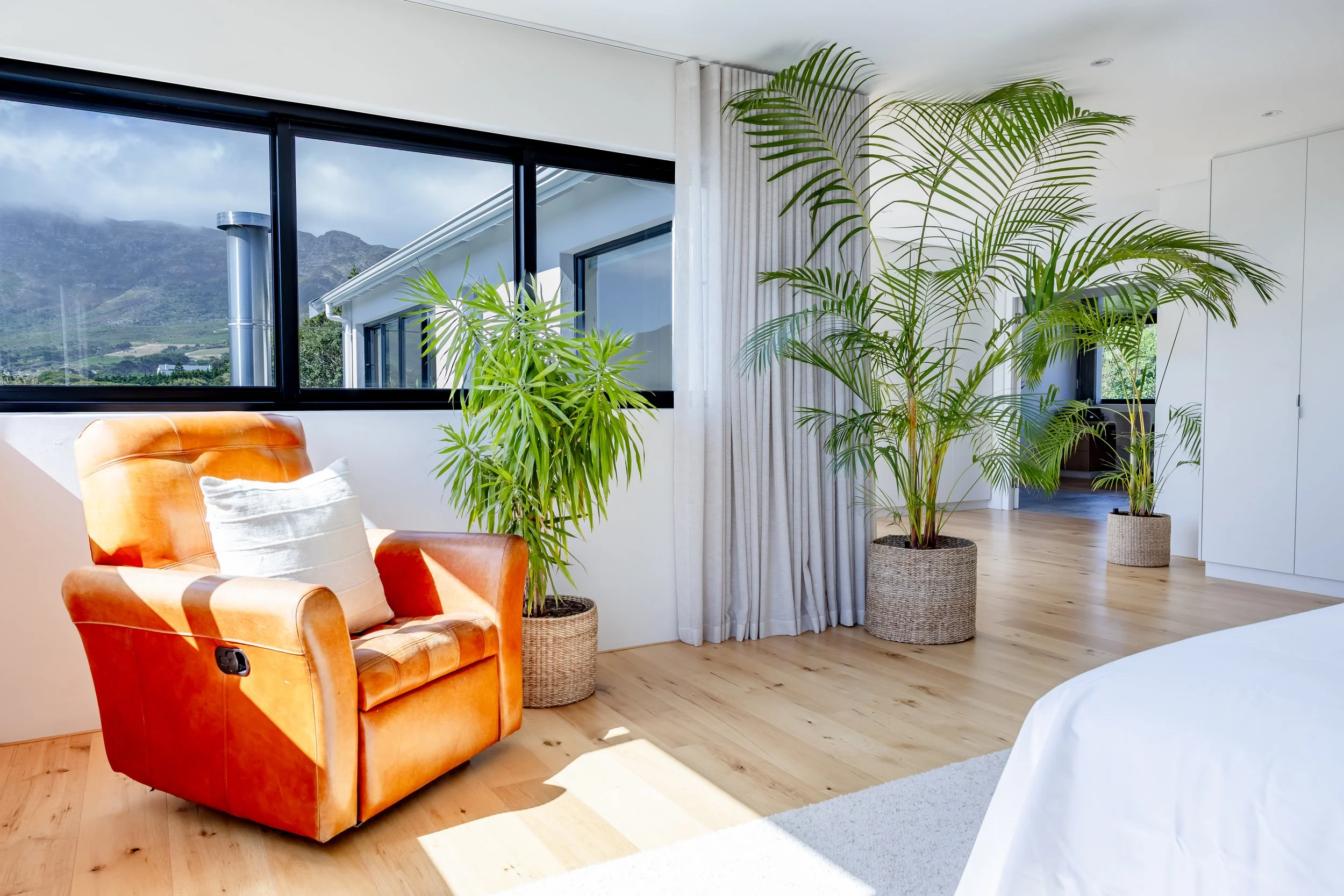 Professional lifestyle photography of a sun-drenched lounge in Sea Point with a tan leather armchair and vibrant indoor plants.
