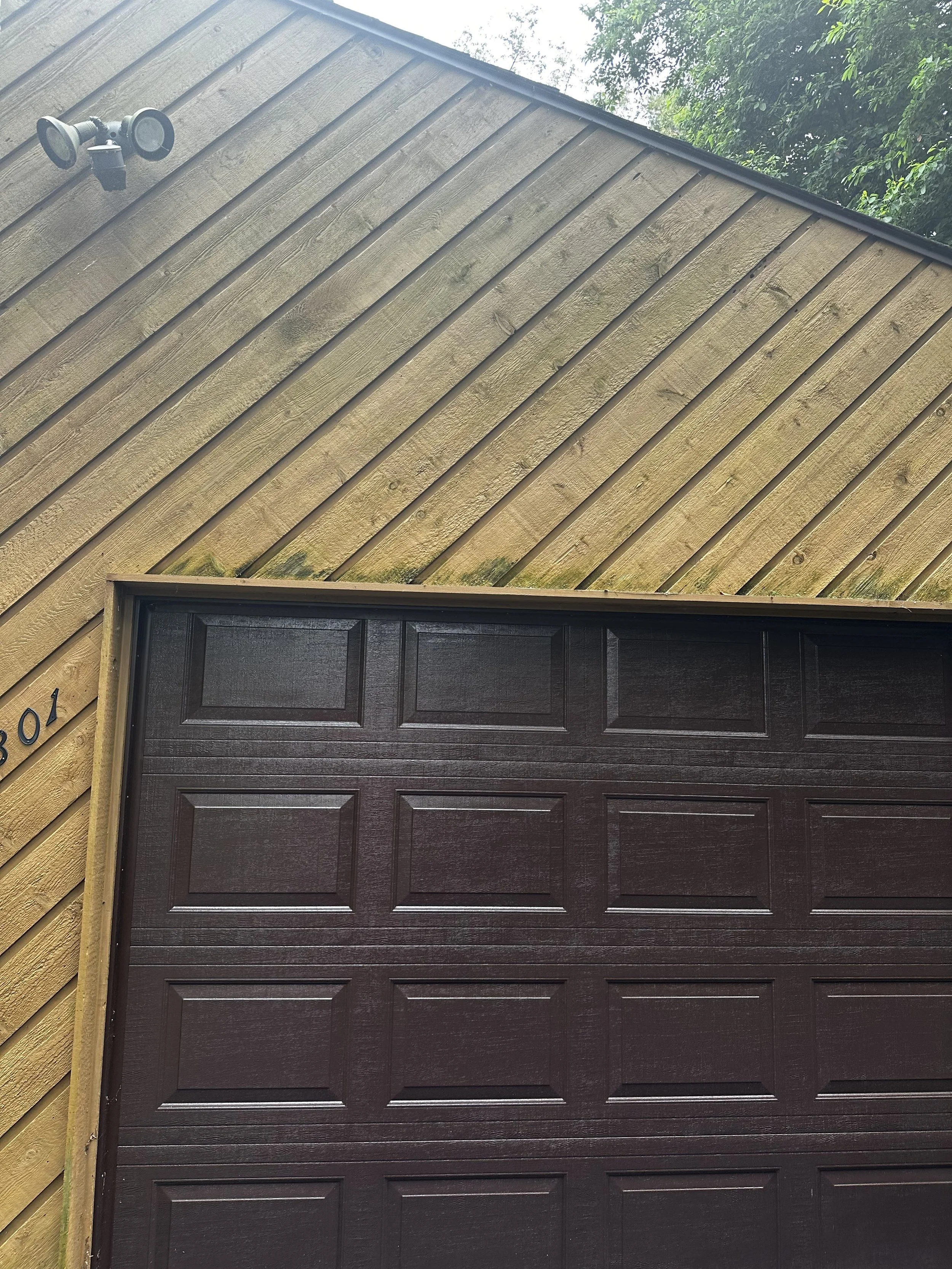 Before Smalley 2.jpg