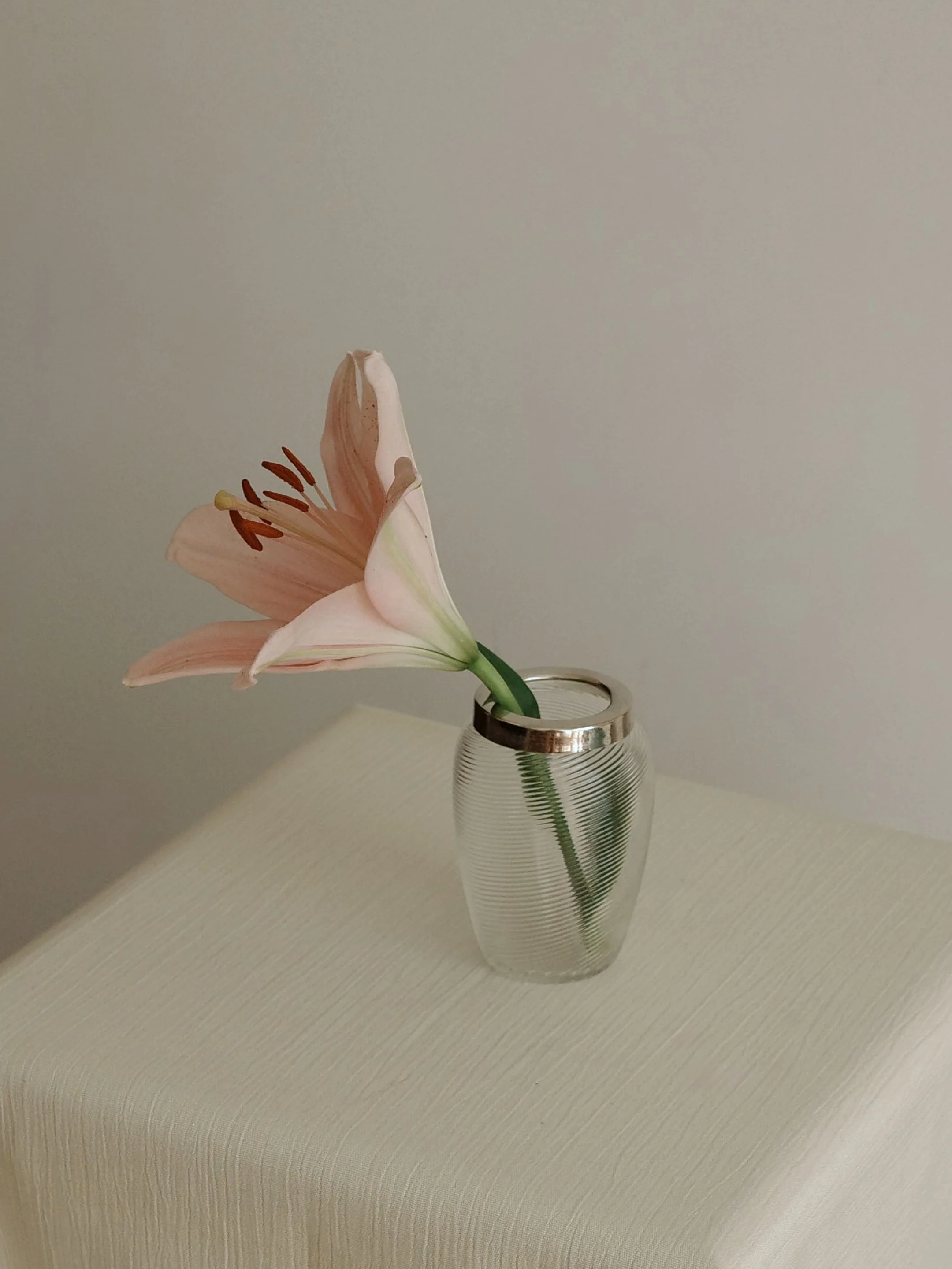 Vintage Ribbed Glass Bud Vases with Silver Rims