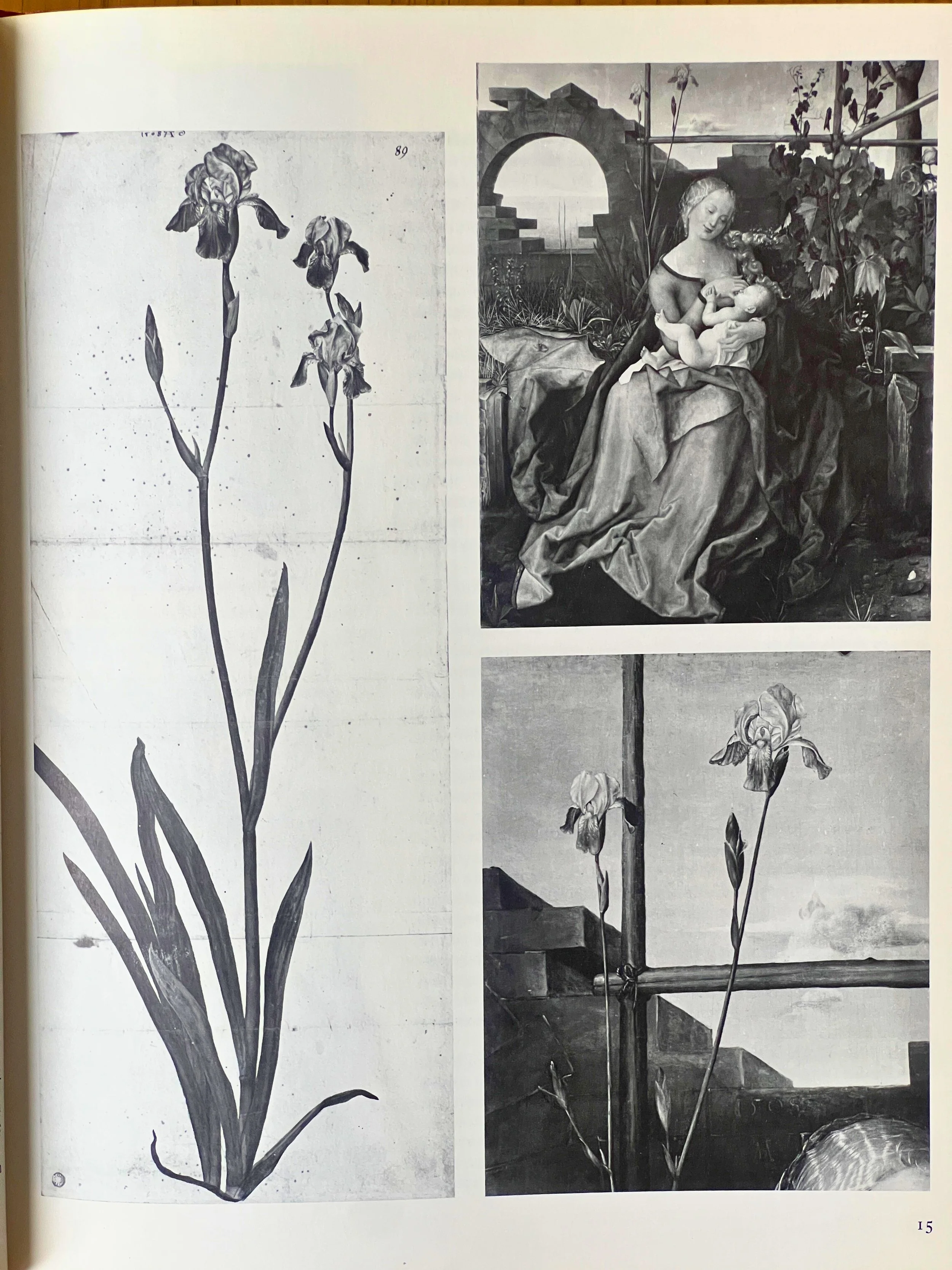 IMG_4916 - Edited.jpg