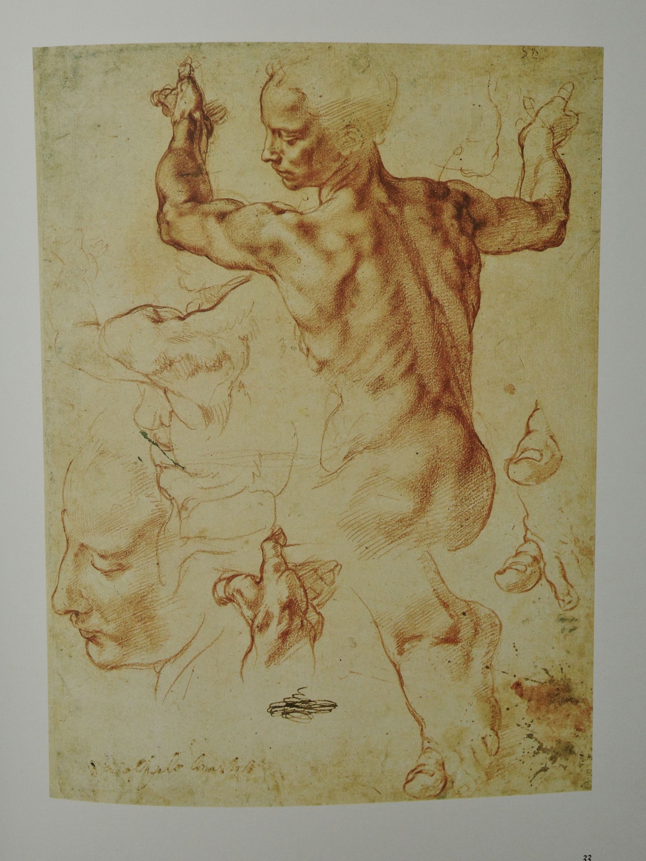 Frame 3895.jpg
