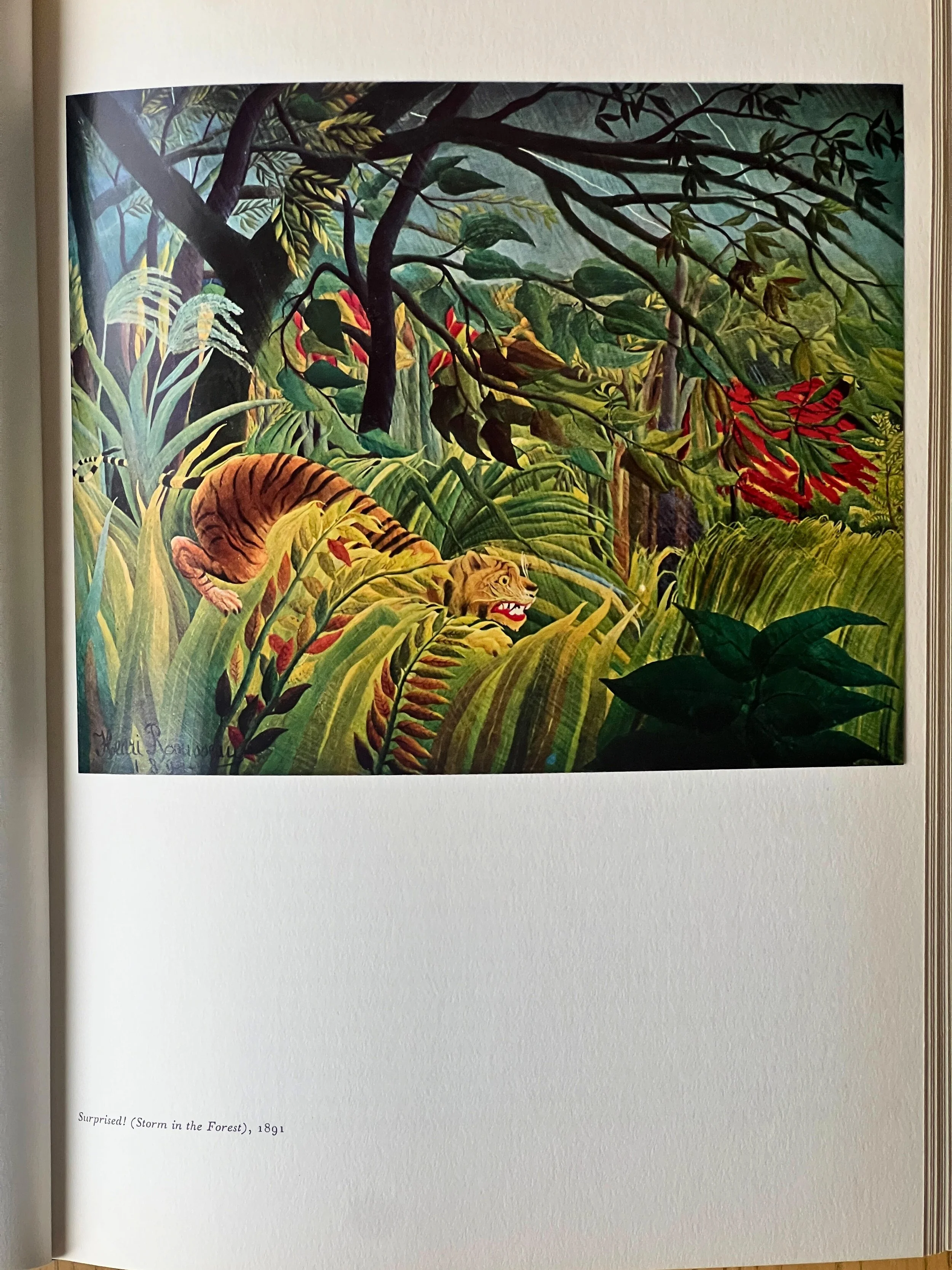 IMG_4956 - Edited.jpg