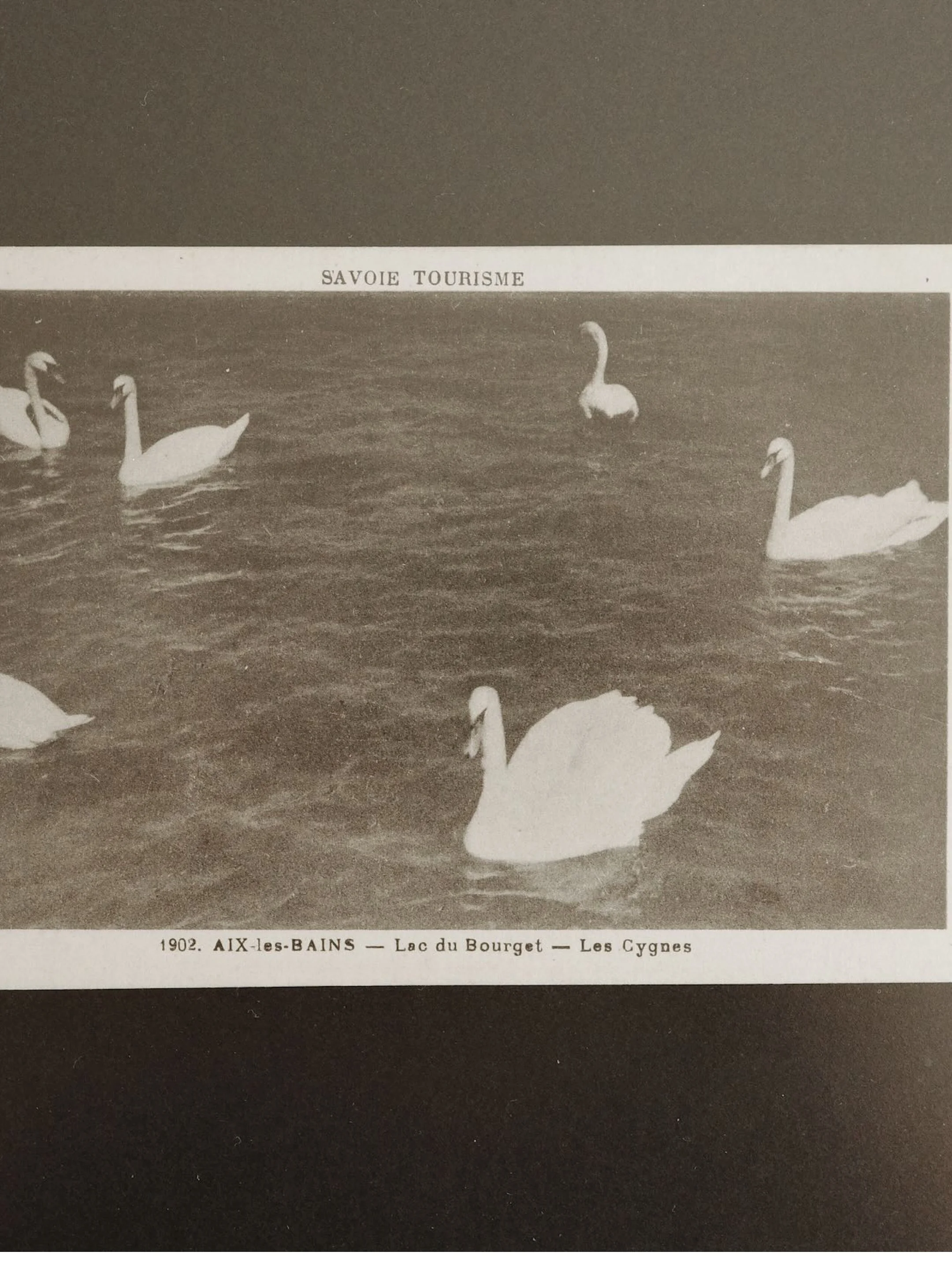 Frame 1913.jpg