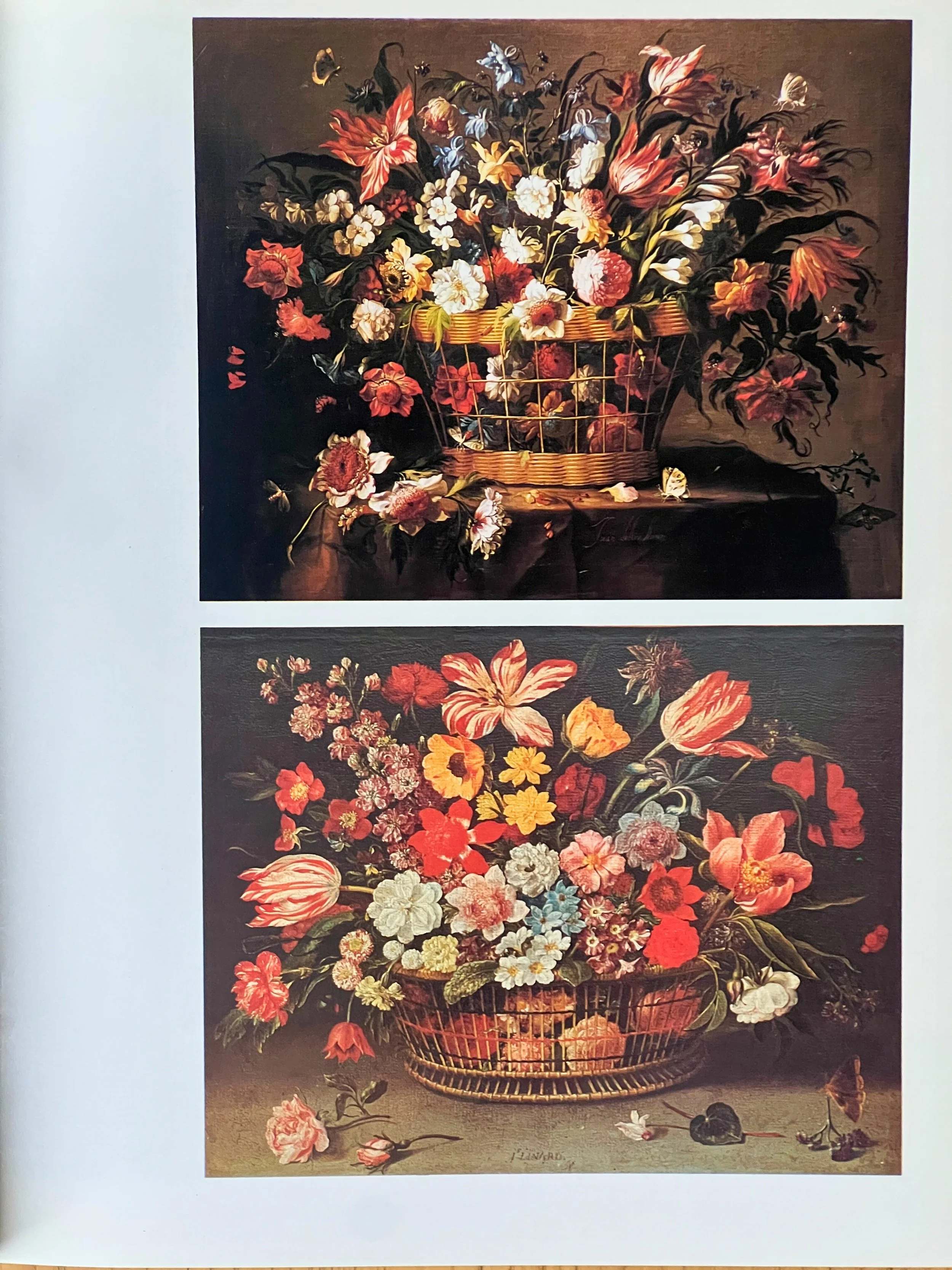 IMG_4918 2 - Edited.jpg