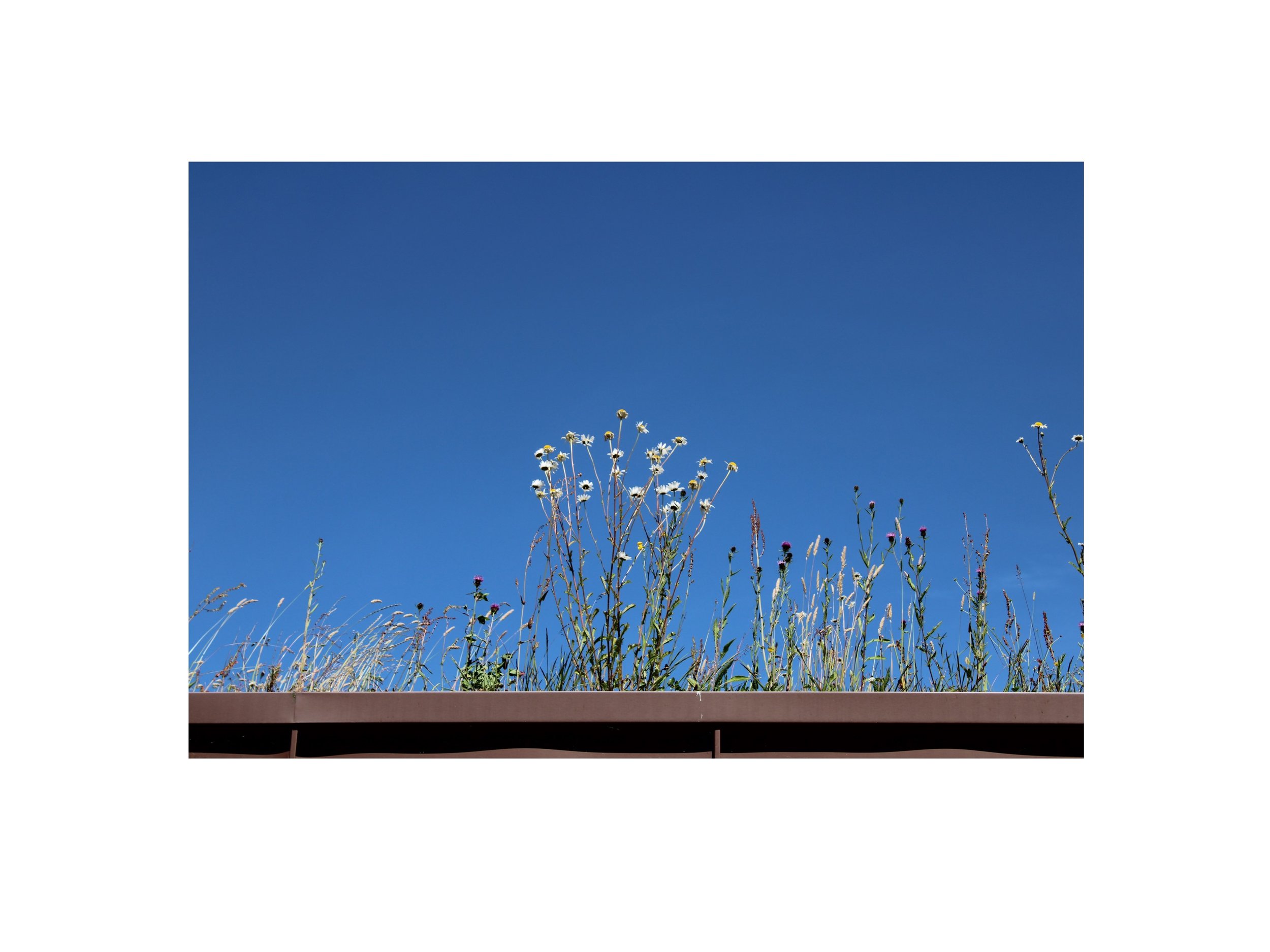 Formatted image 12.jpg