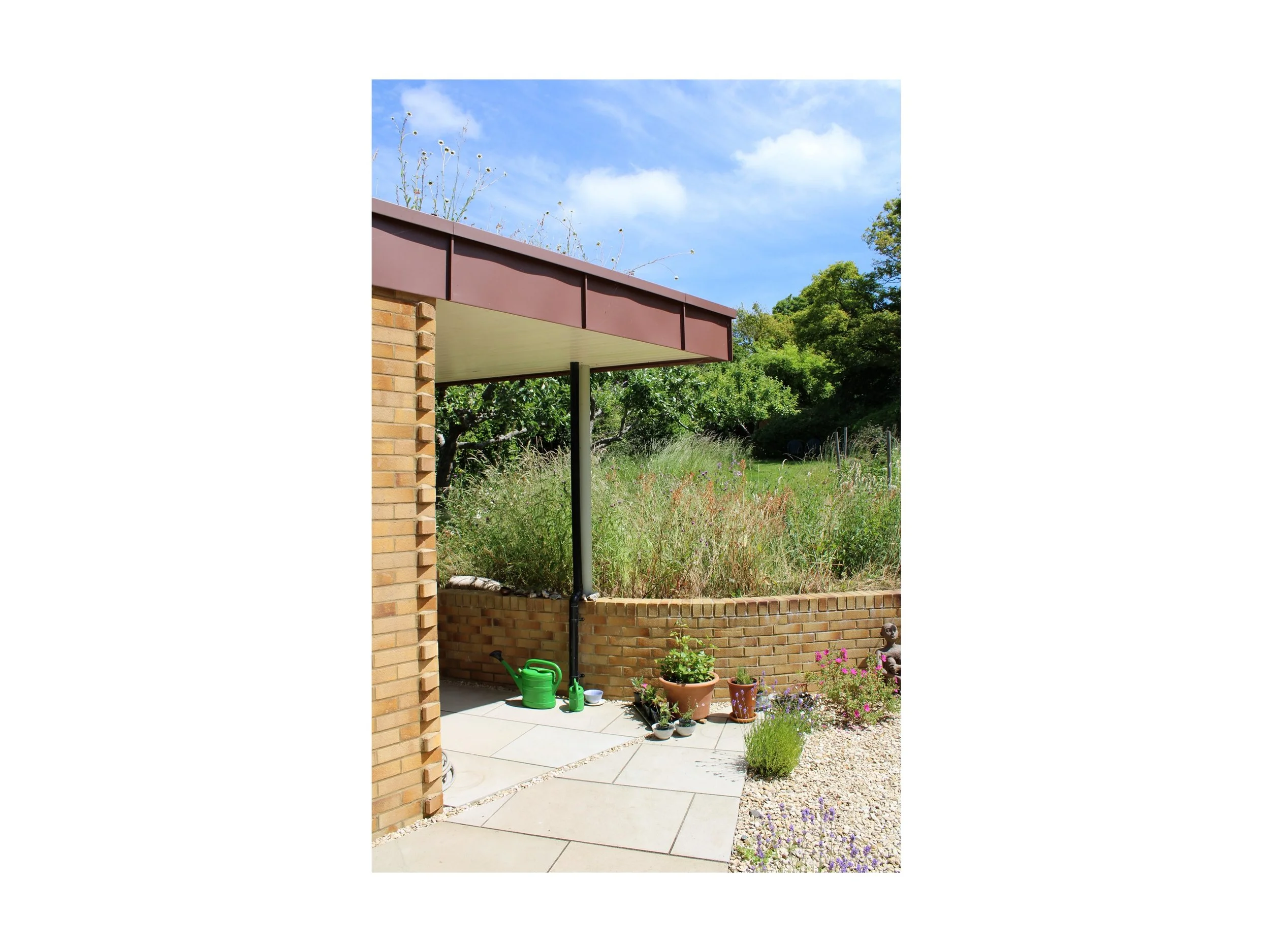 Formatted image 10.jpg